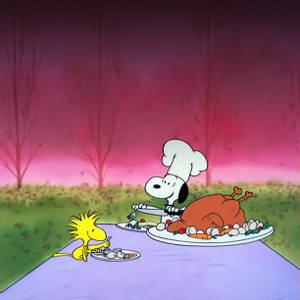 300x300 Charlie Brown Wallpaper & Background For FREE