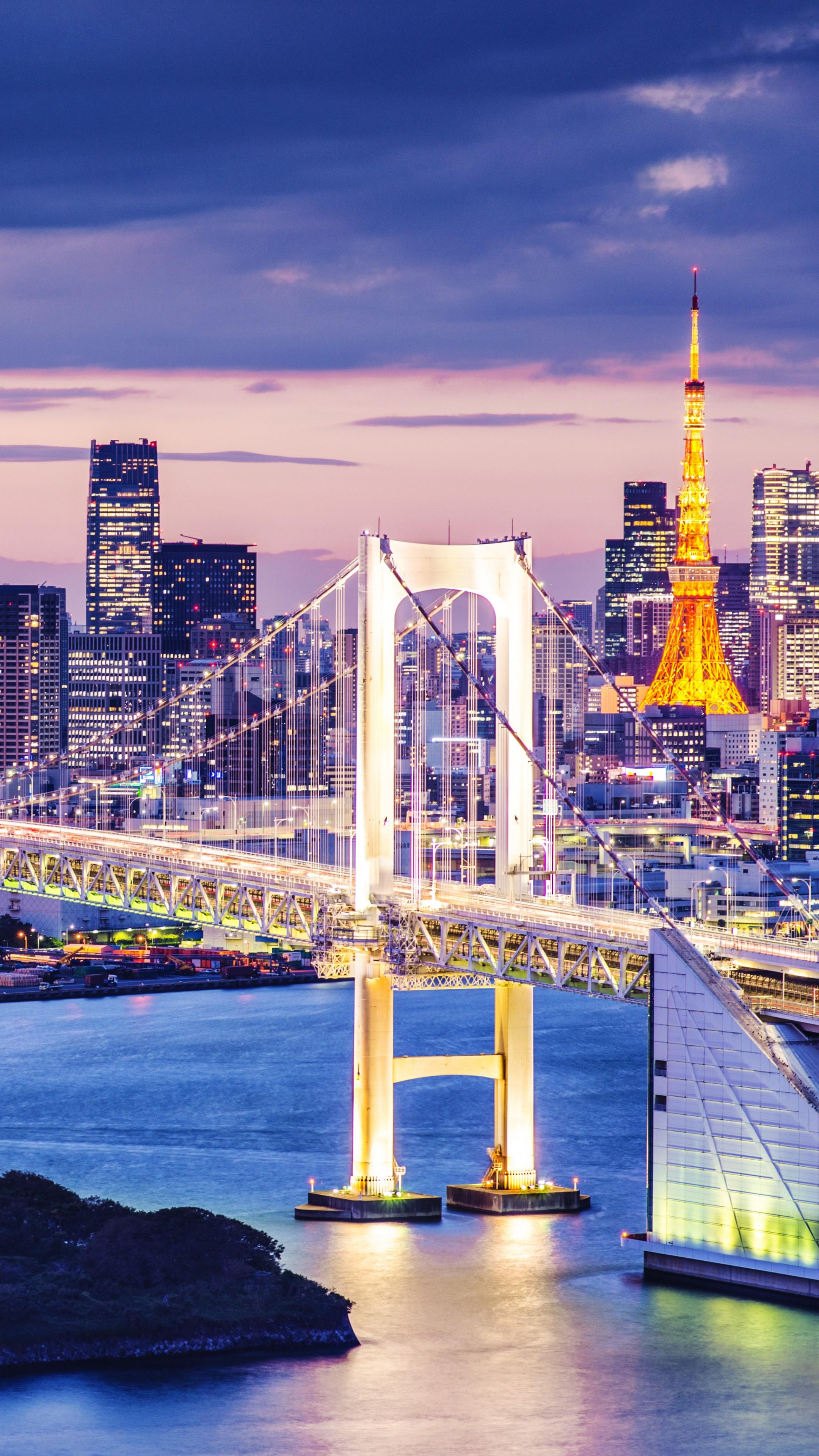2160x3840 Wallpaper Tokyo Bay, Japan, bridge, night, travel, tourism, Architecture