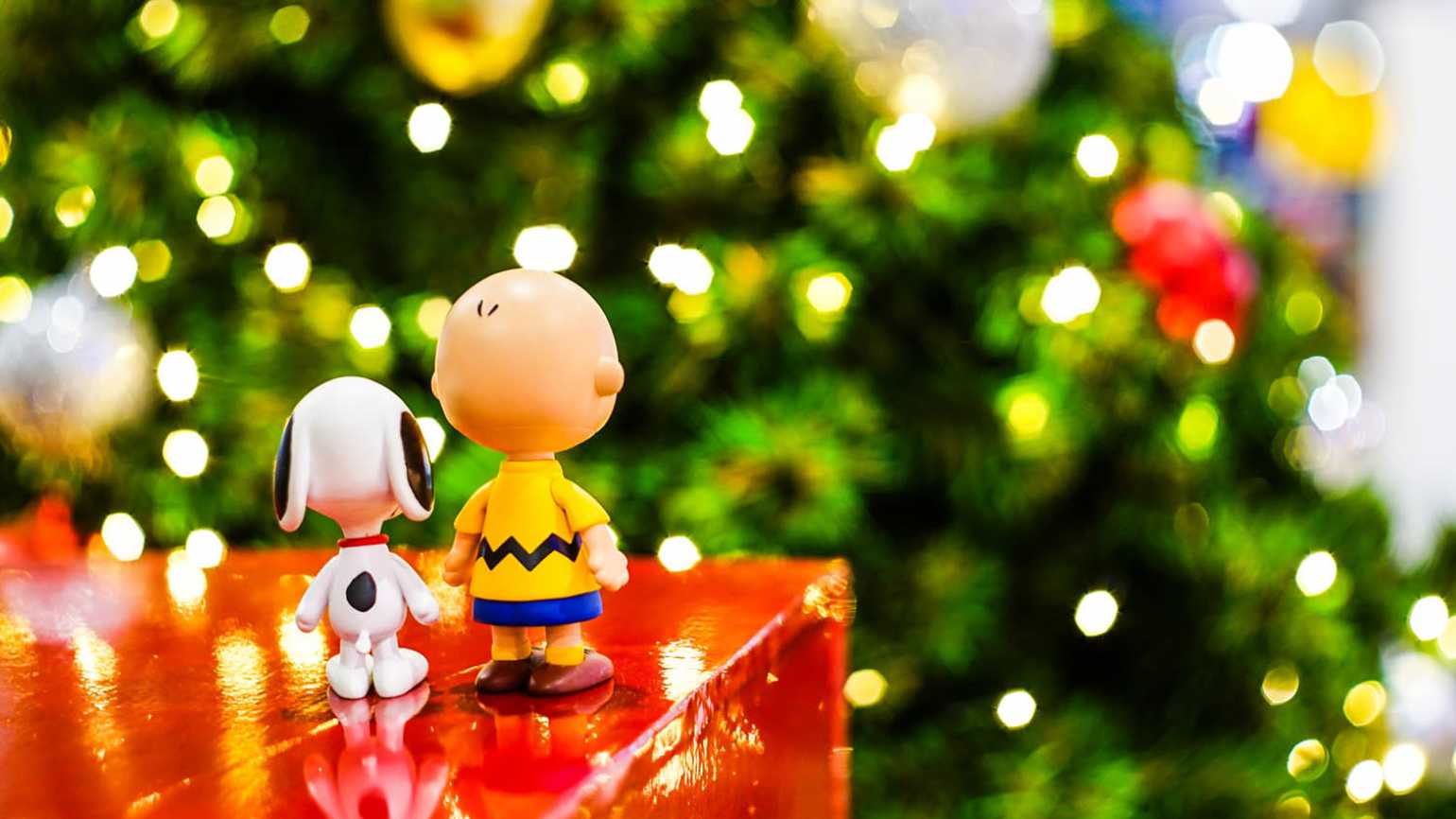 Charlie Brown Christmas Tree Wallpapers Top Free Charlie Brown