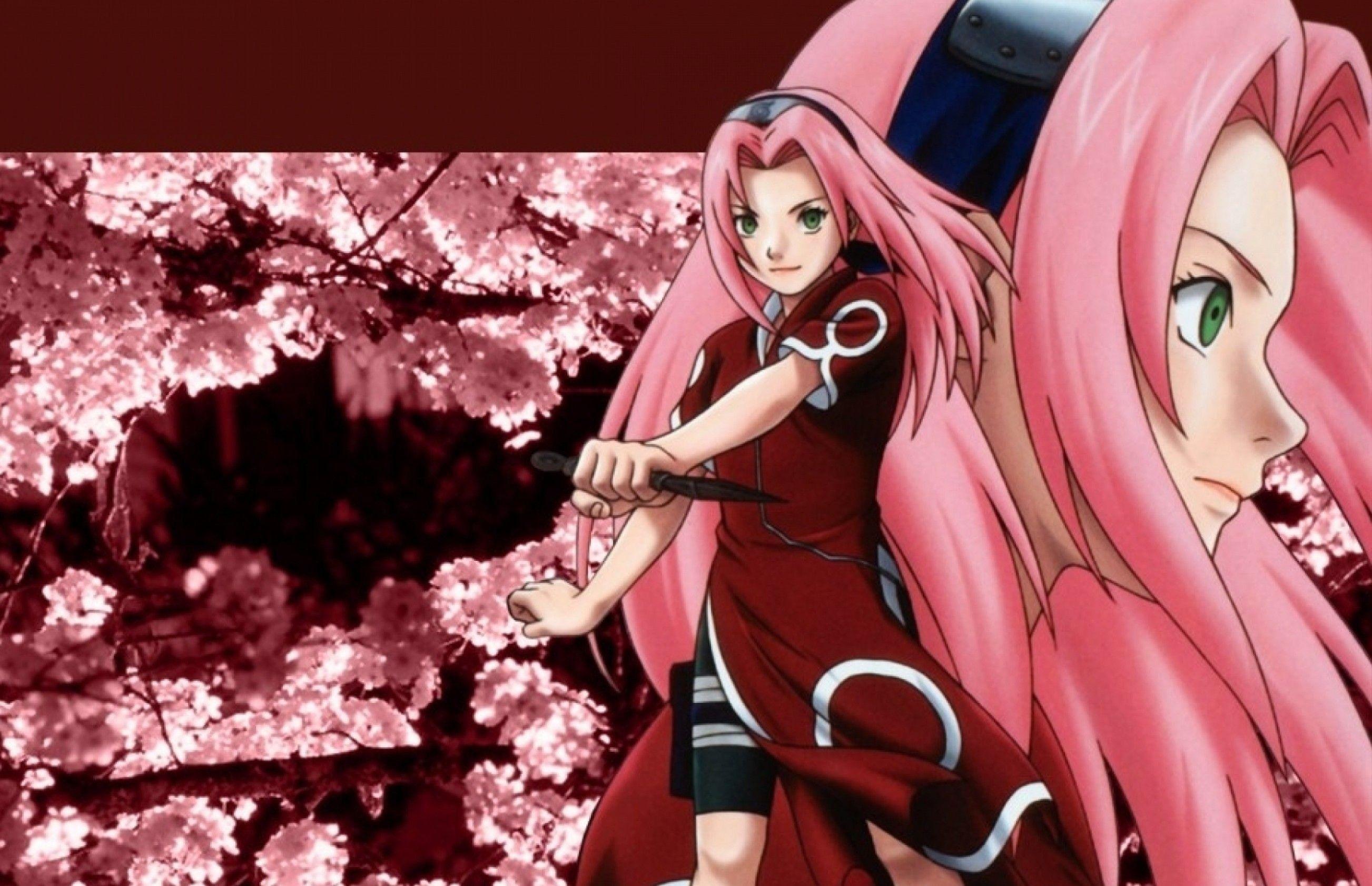 2605x1684 Sakura Naruto Wallpaper