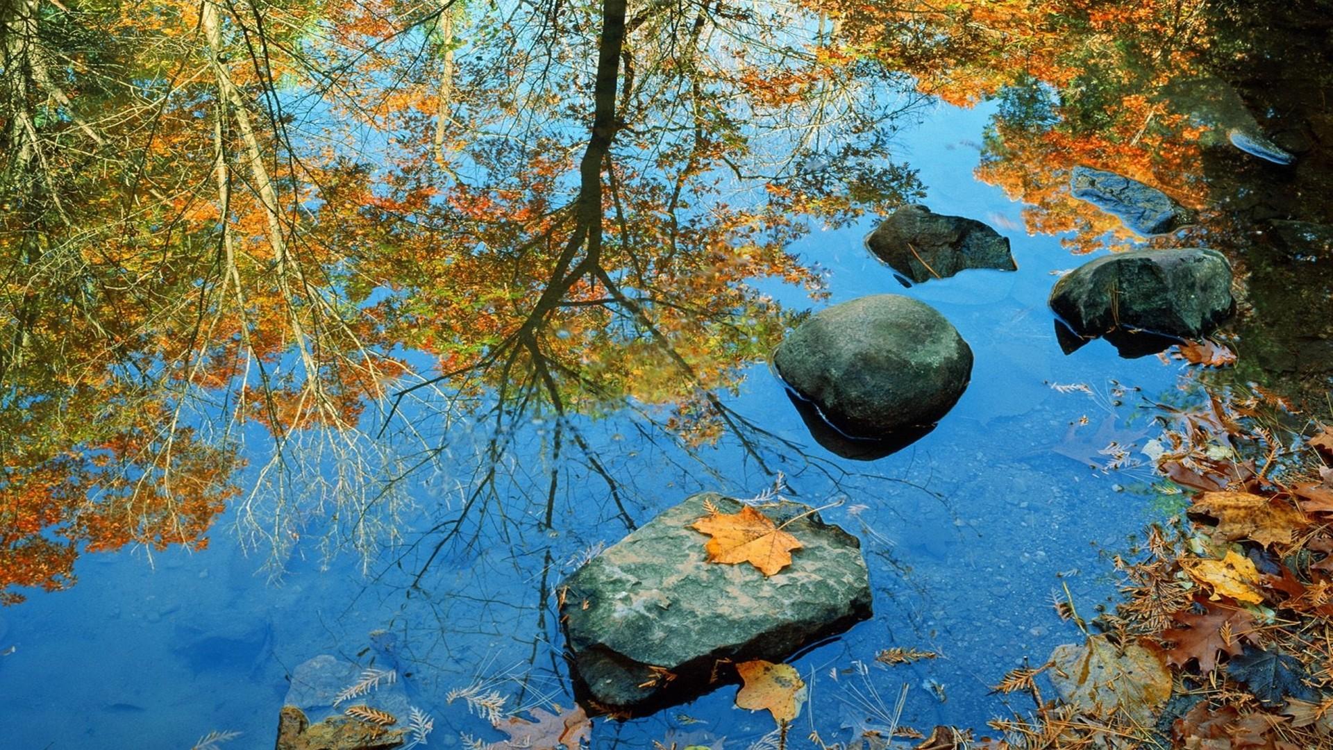 1920x1080 Fall Water Nature Stones Leaves Deskx1600 HD Wallpaper 93407 :