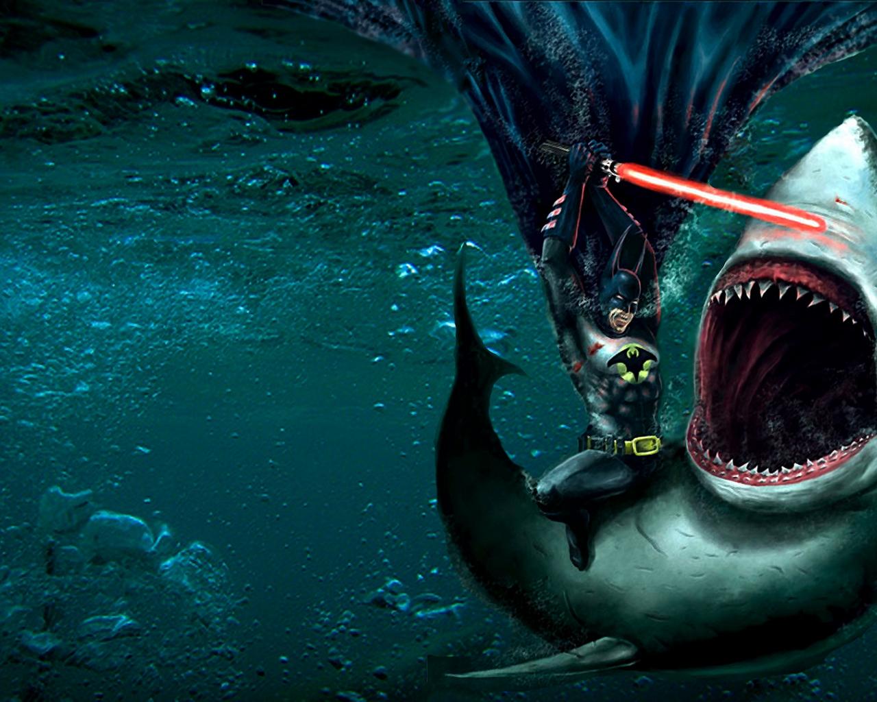 1280x1024 Free download Shark HD Wallpaper FullHDWpp Full HD Wallpaper 1920x1080 [1920x1080] for your Desktop, Mobile & Tablet. Explore HD Lightsaber Wallpaper. Cool Star Wars Wallpaper HD, HD Jedi Wallpaper