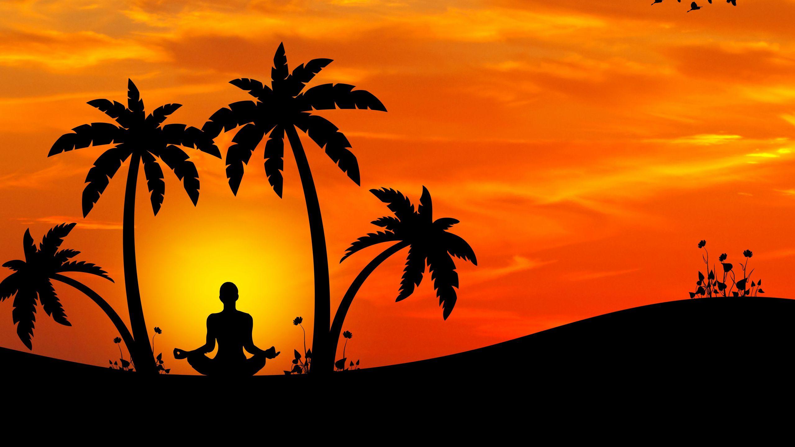 2560x1440 Download wallpaper 2560x1440 meditation, yoga, silhouette, palm trees, harmony widescreen 16:9 HD background