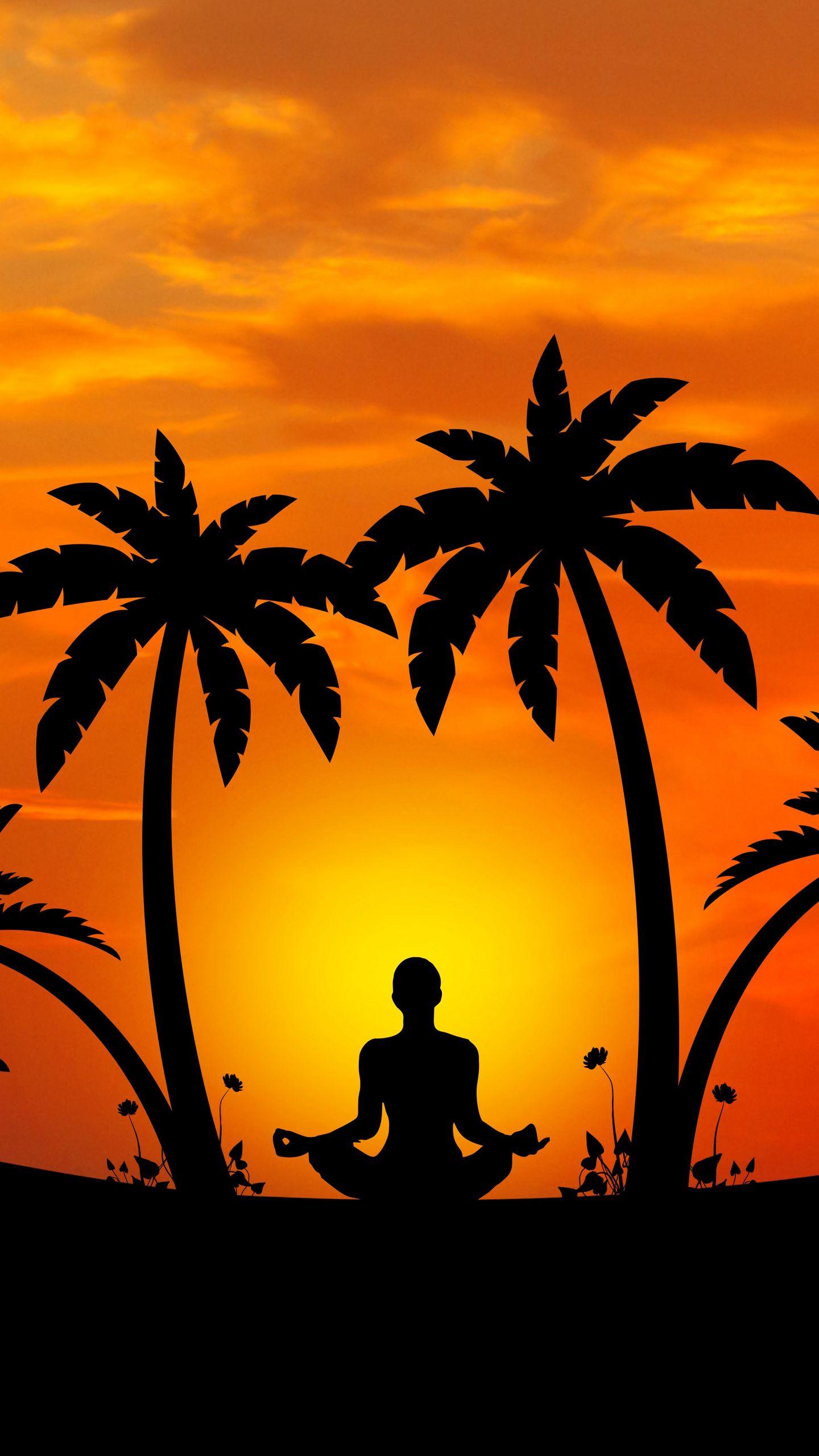 1440x2560 Download wallpaper 1440x2560 meditation, yoga, silhouette, palm trees, harmony qhd samsung galaxy s s edge, note, lg g4 HD background