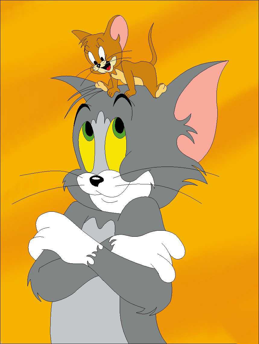 859x1142 Tom and Jerry Wallpaper Free HD Wallpaper