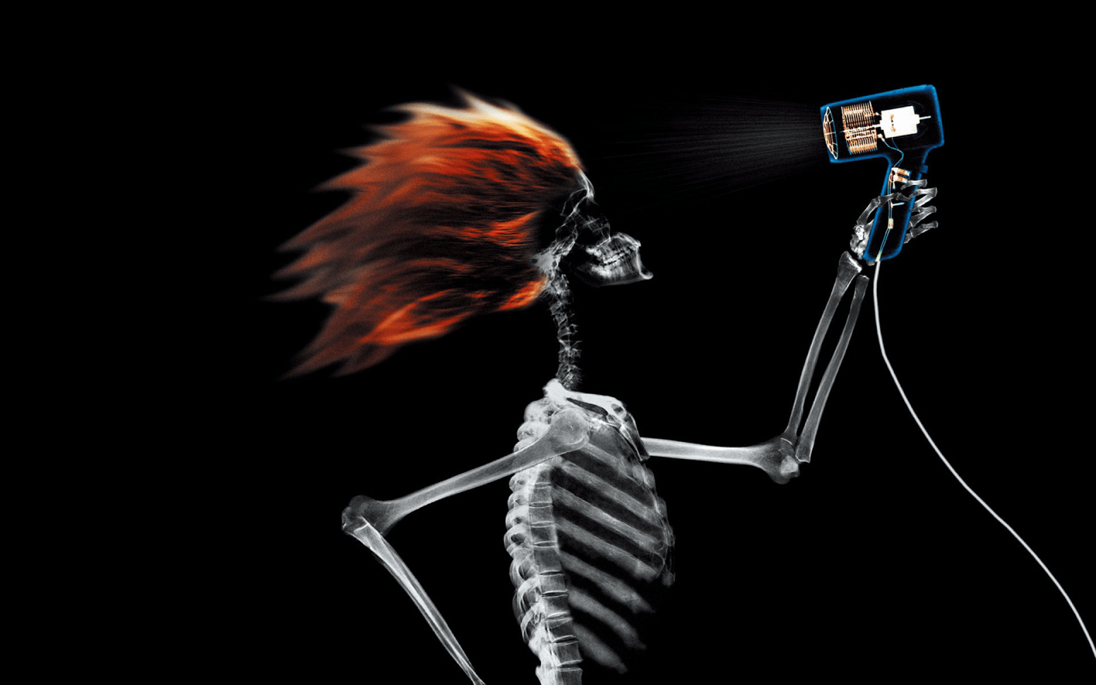 1600x1000 Free download Red Headed Skeleton Girl Drying Hair Funny HD Desktop Wallpaper HD [1600x1000] for your Desktop, Mobile & Tablet. Explore Funny Skeleton Wallpaperd Skull Wallpaper, Free Skull