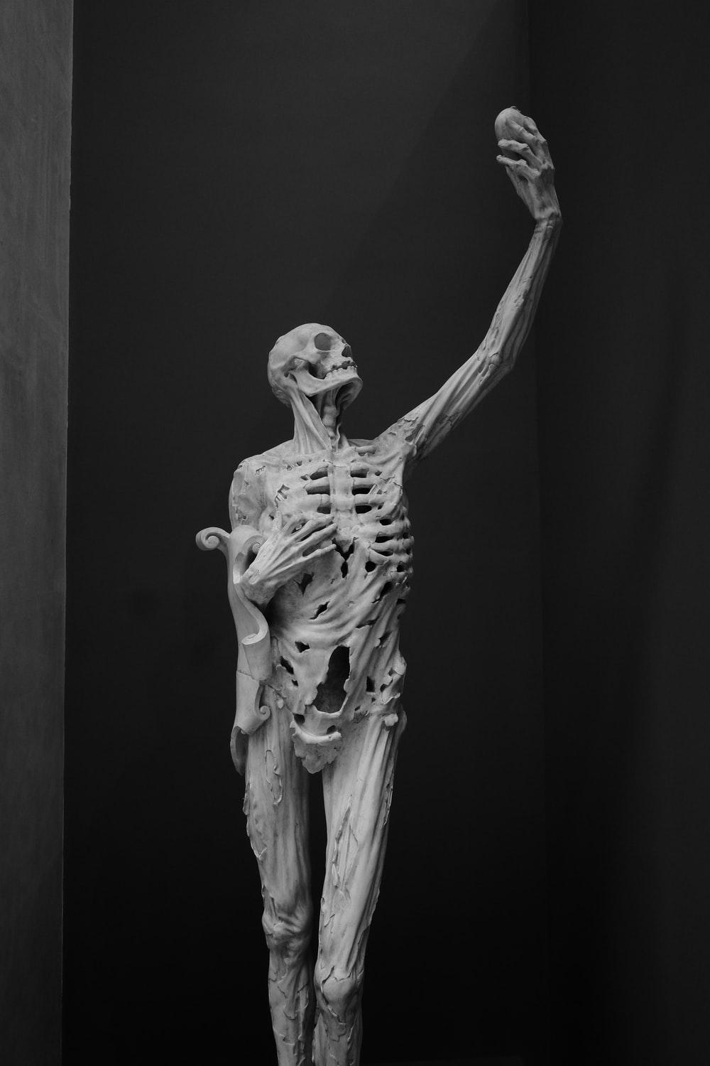 1000x1500 Skeleton Picture [HD]. Download Free Image