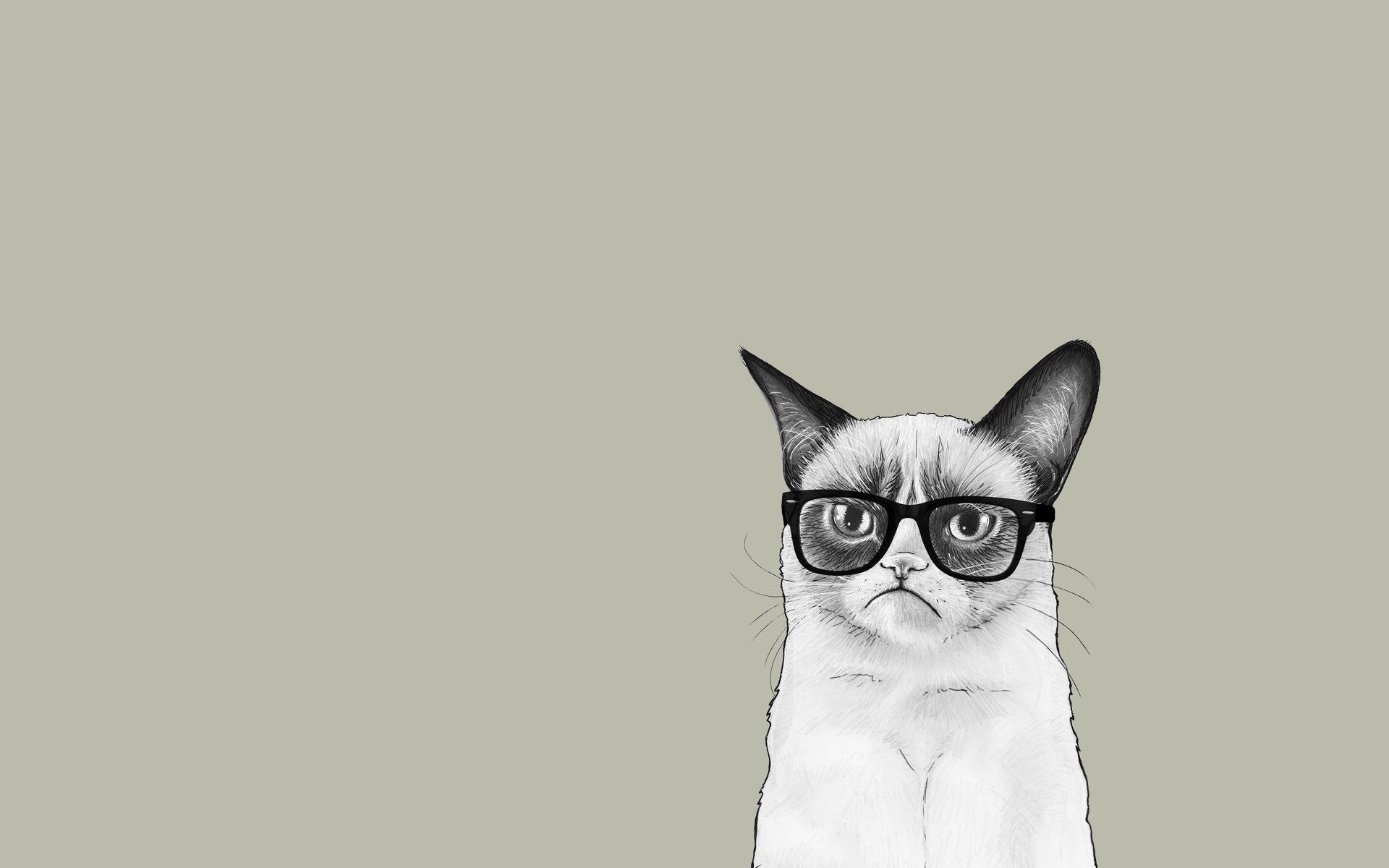 1920x1200 Cute Cartoon Cat Desktop Wallpaper