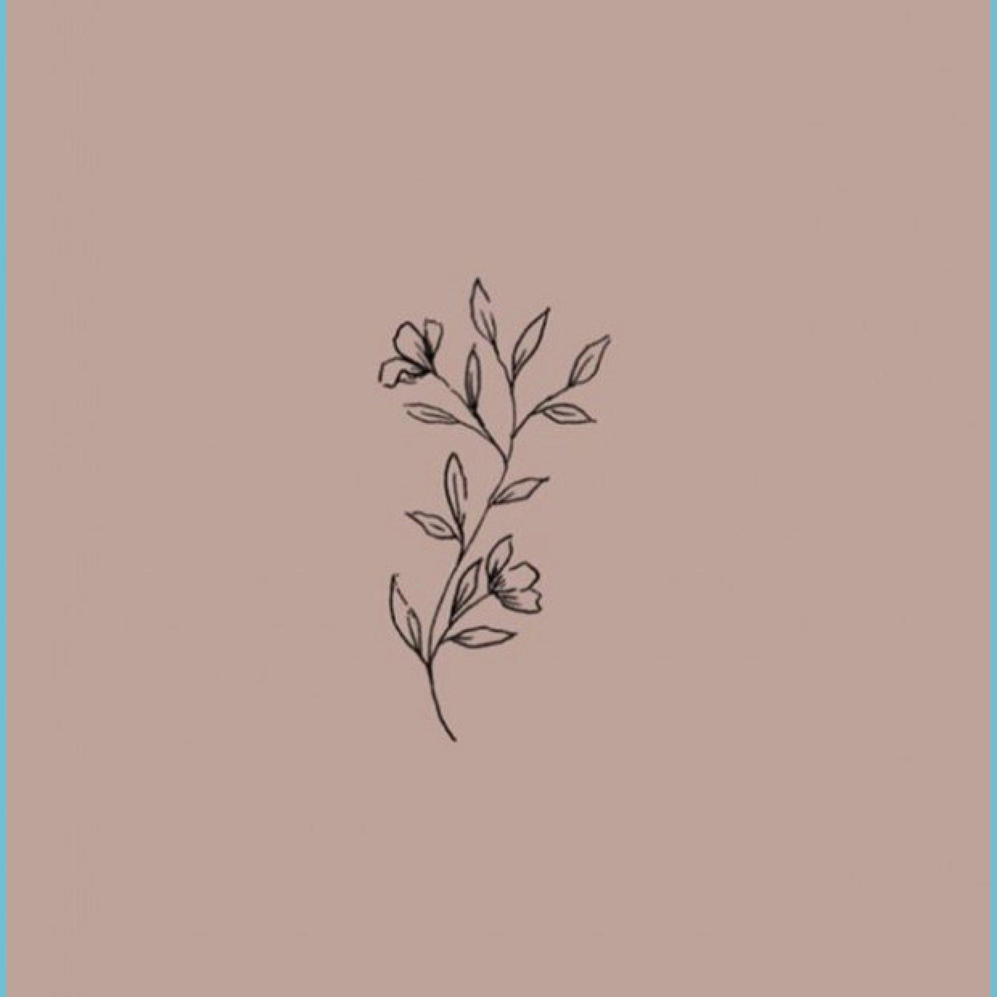 2048x2048 Simple Wallpaper