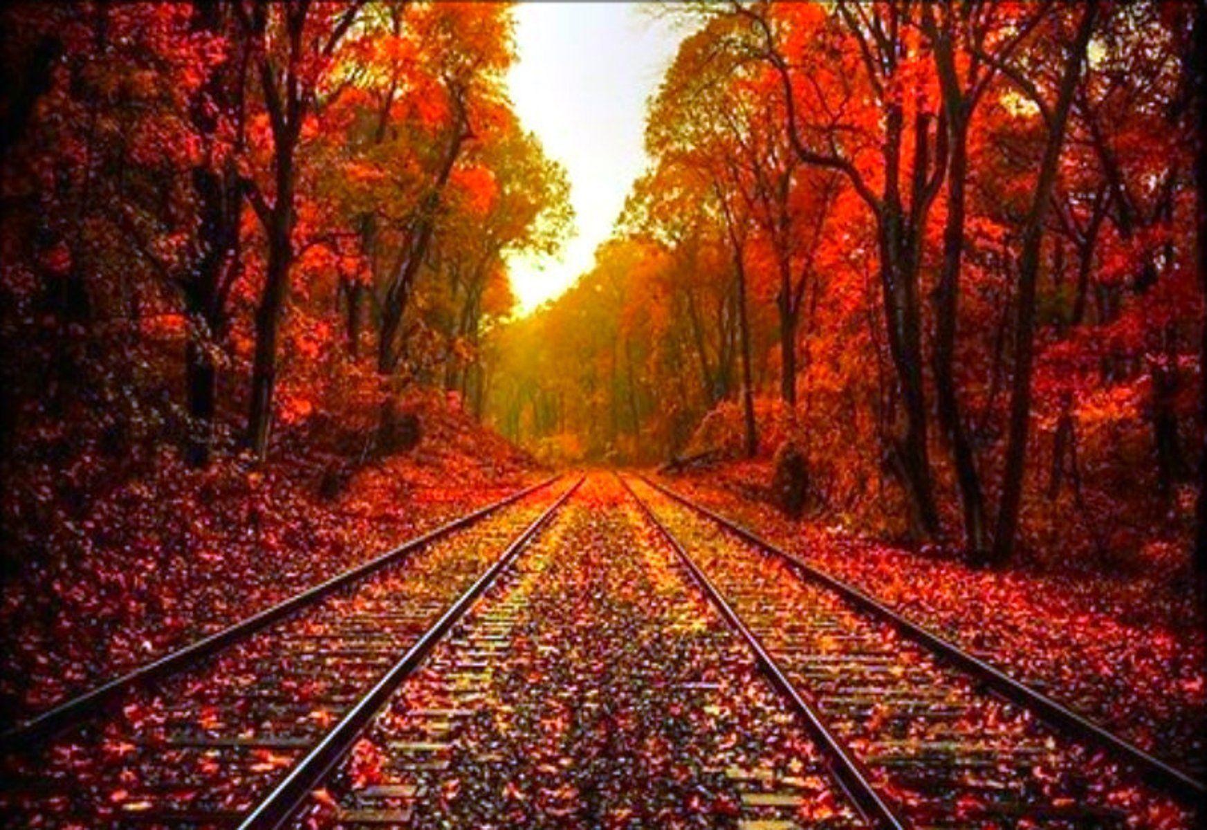 1745x1200 Beautiful Autumn Wallpaper