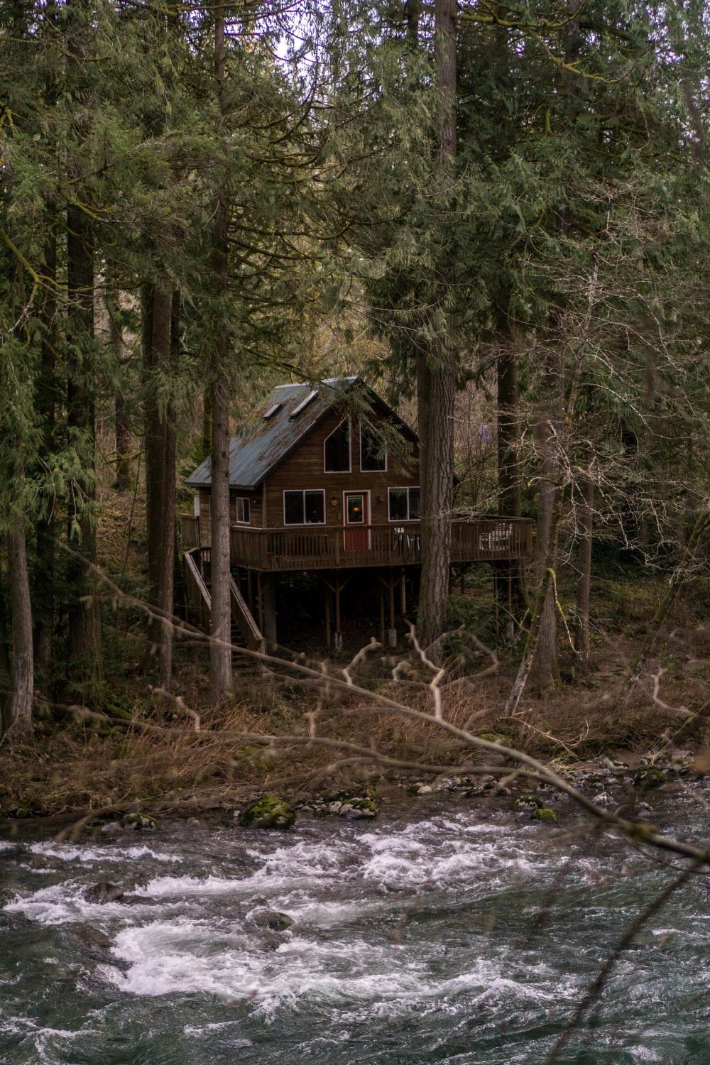 1000x1500 House In The Woods Picture. Download Free Image