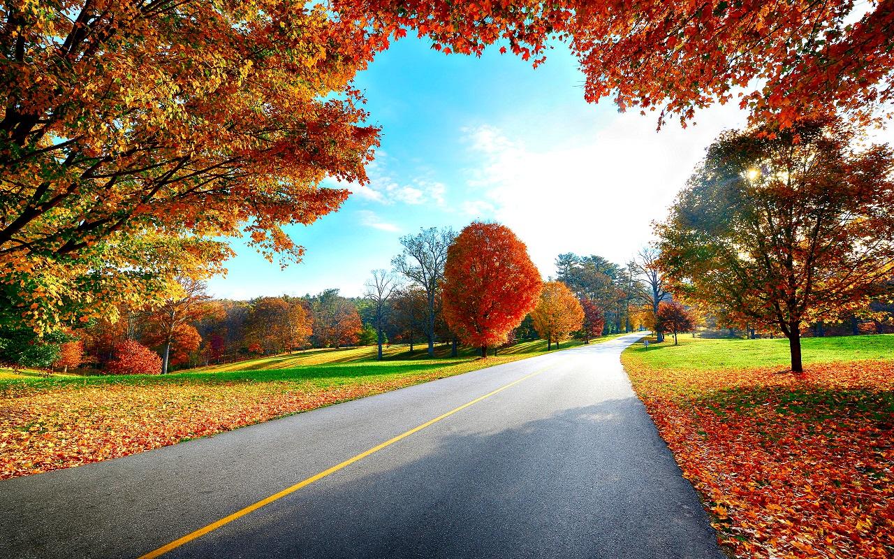 1280x800 Autumn Wallpaper