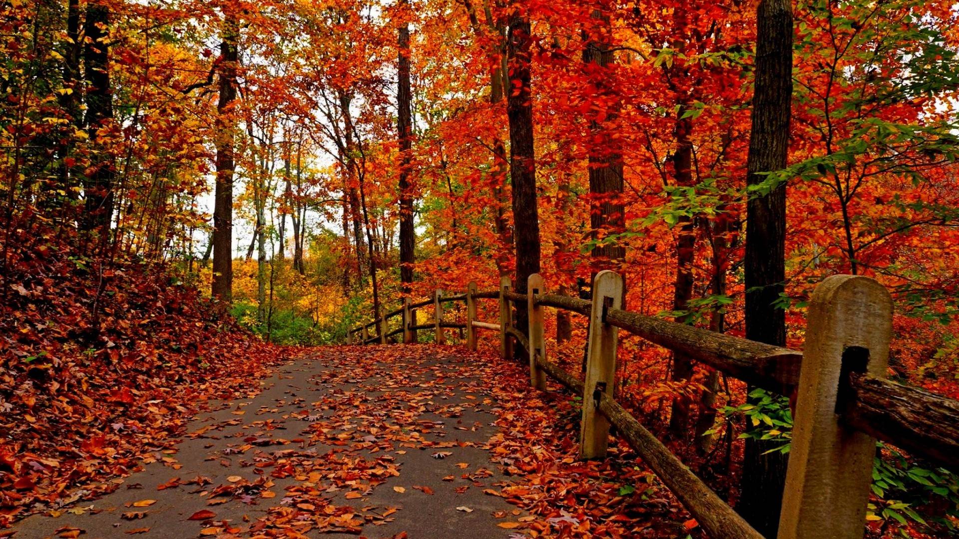1920x1080 Beautiful Autumn Wallpaper