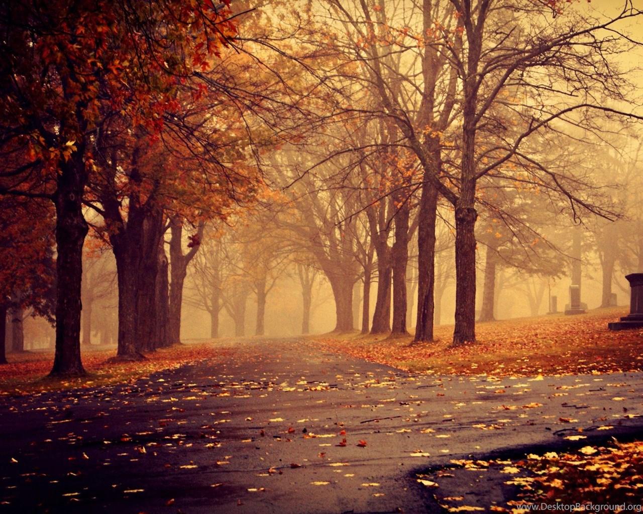 1280x1024 Download The Foggy Autumn Wallpaper, Foggy Autumn iPhone Wallpaper. Desktop Background