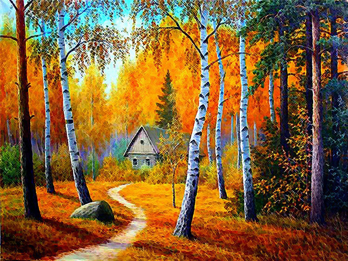 1200x900 Cabin in the woods - Quality and Resolution