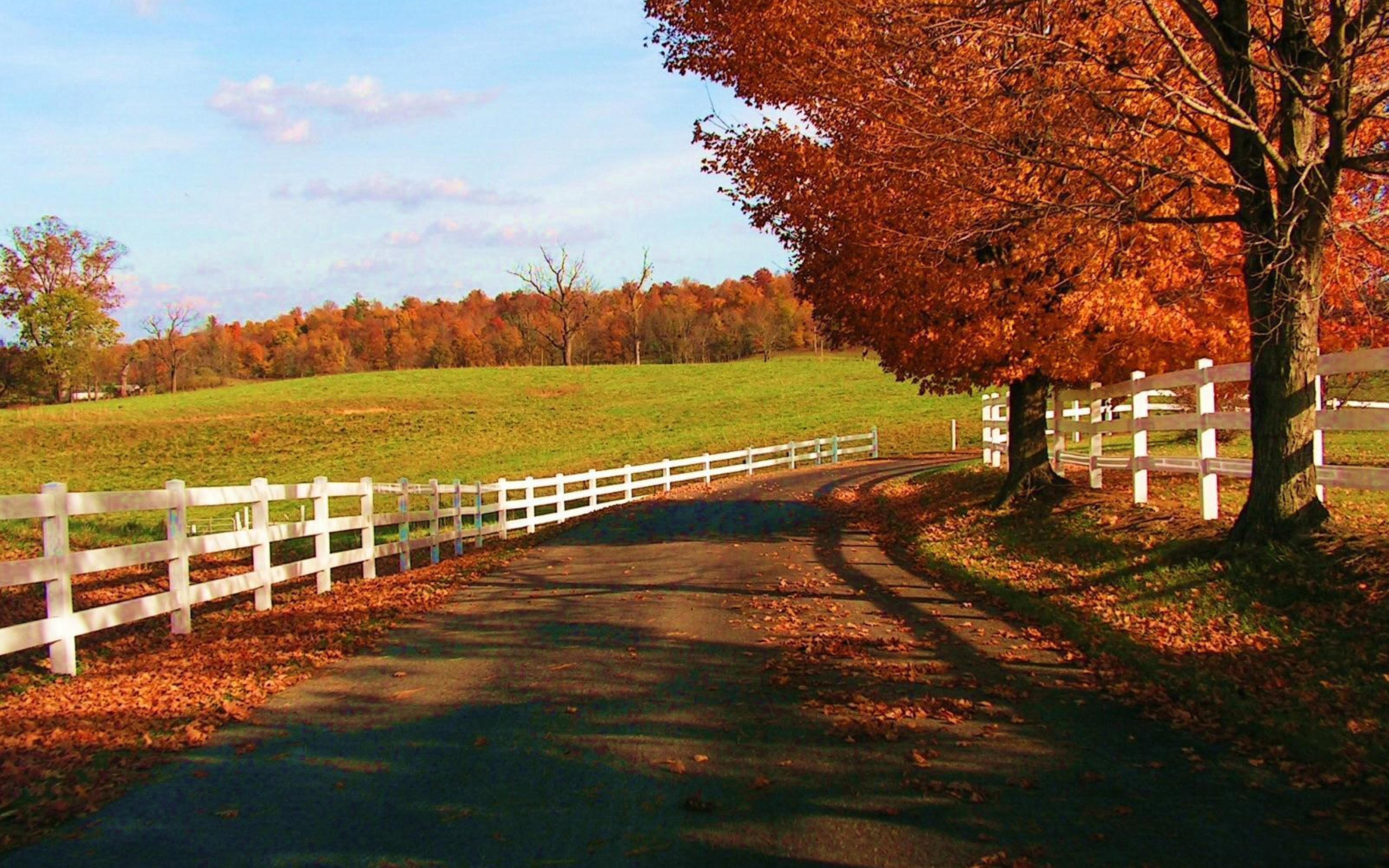 5120x3200 Country path Autumn season