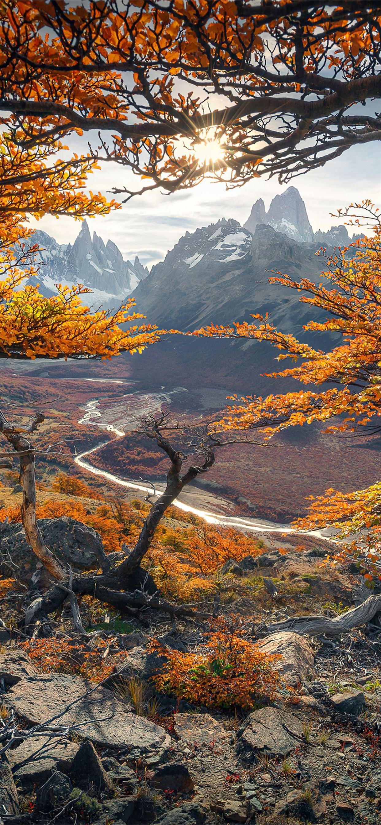 1242x2688 beautiful autumn colours in patagonia 4k iPhone 11 Wallpaper Free Download