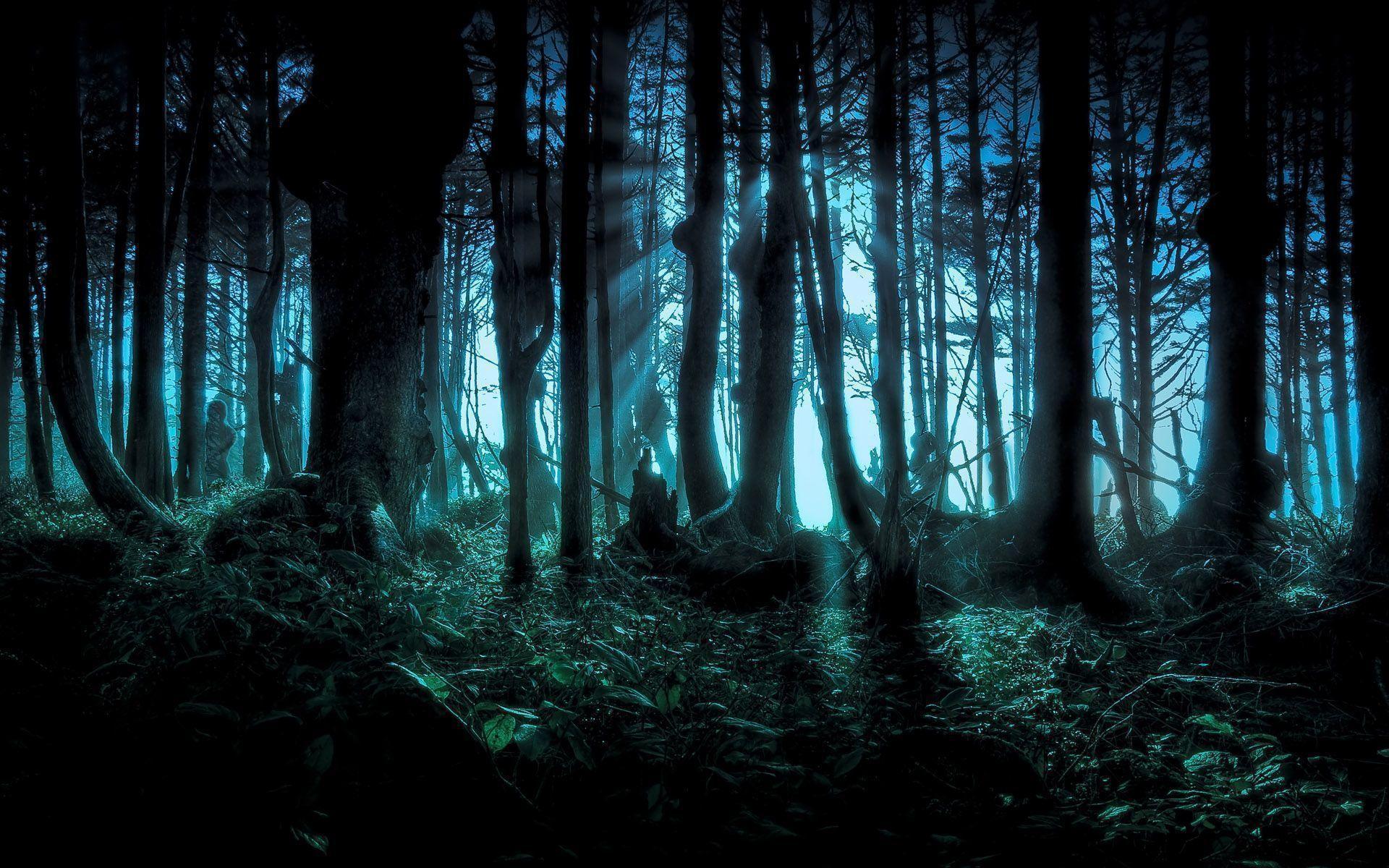 1920x1200 Deep Jungle Wallpaper