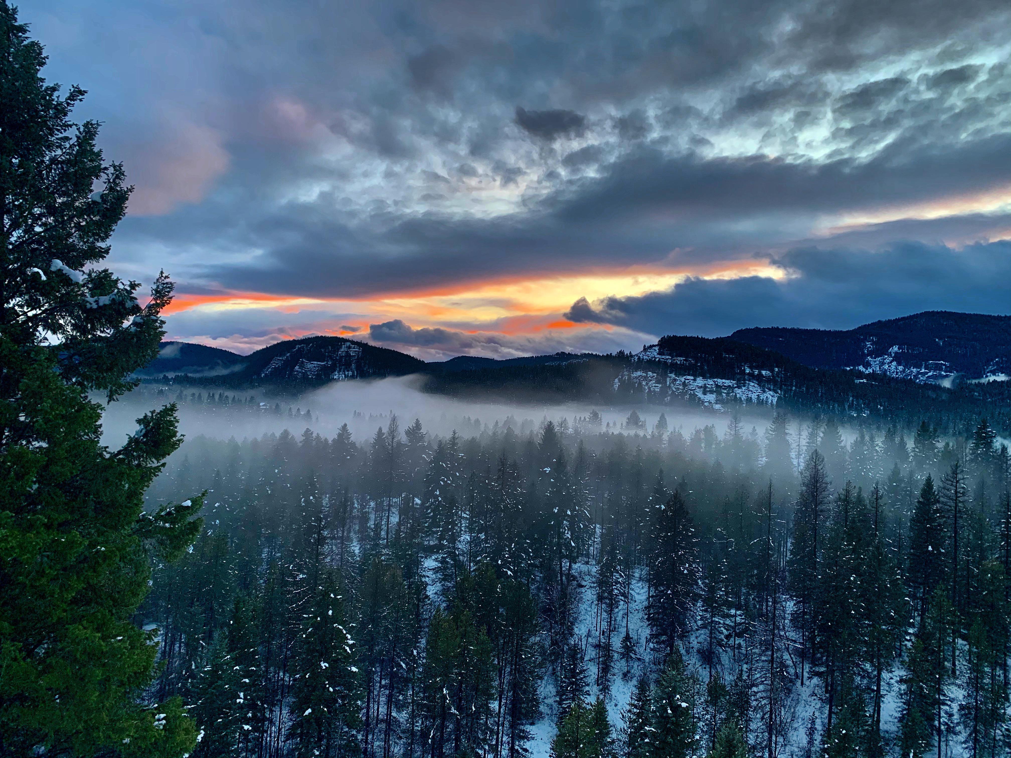 4032x3024 View from our cabin in Whitefish. : Montana, US state governments, United States of America