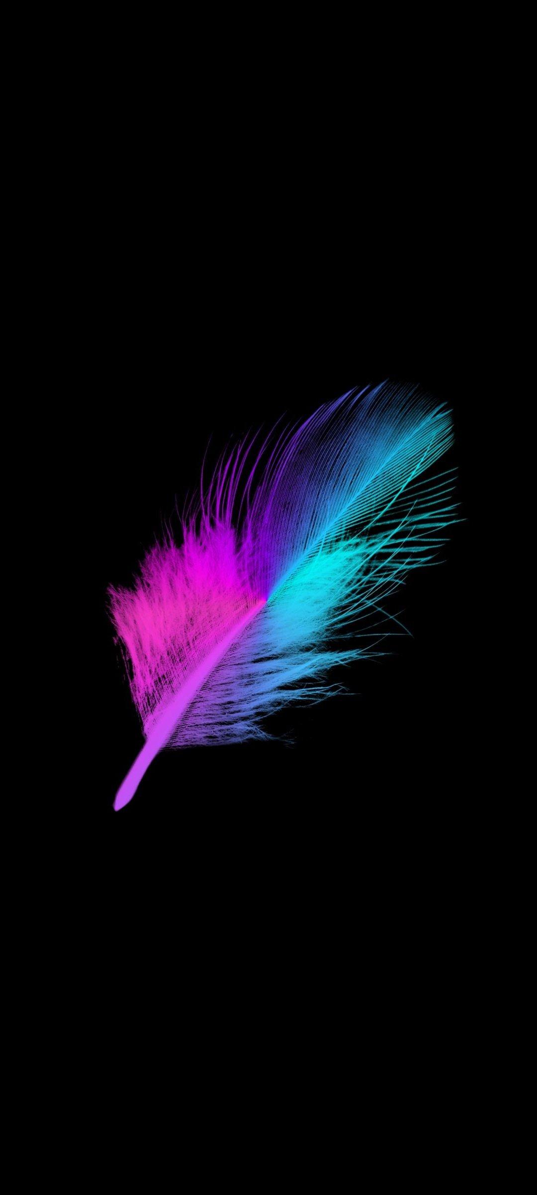 1080x2400 Minimalist Colorful Feather Wallpaper
