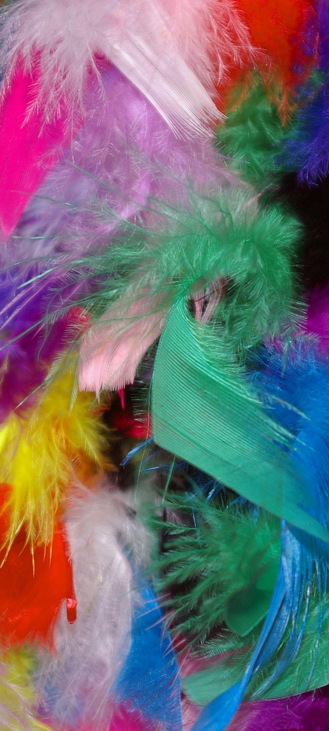 1080x2400 Colorful Feathers Wallpaper
