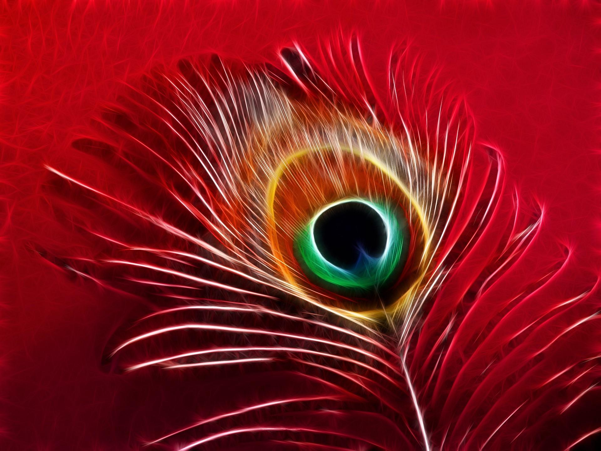 1920x1440 Artistic Colorful Feather Red Wallpaper:1920x1440