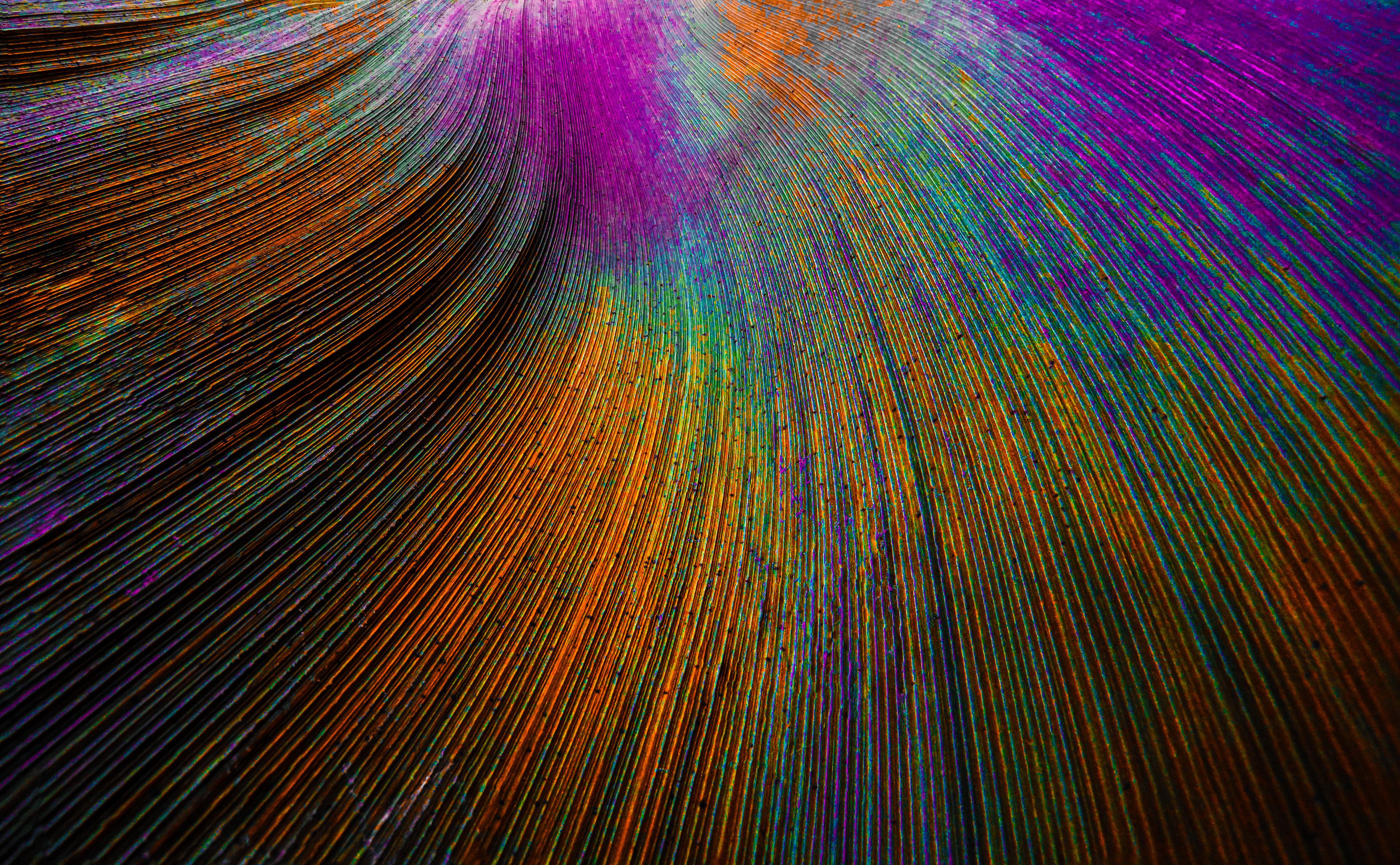 3840x2374 Peacock feather Wallpaper 4K, Curved lines, Colorful, Particles, Abstract