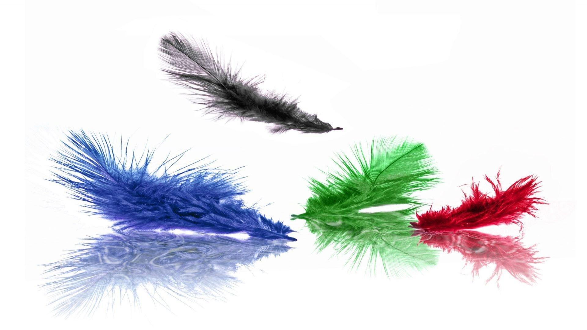 1920x1080 Colorful Feathers Wallpaperx1080