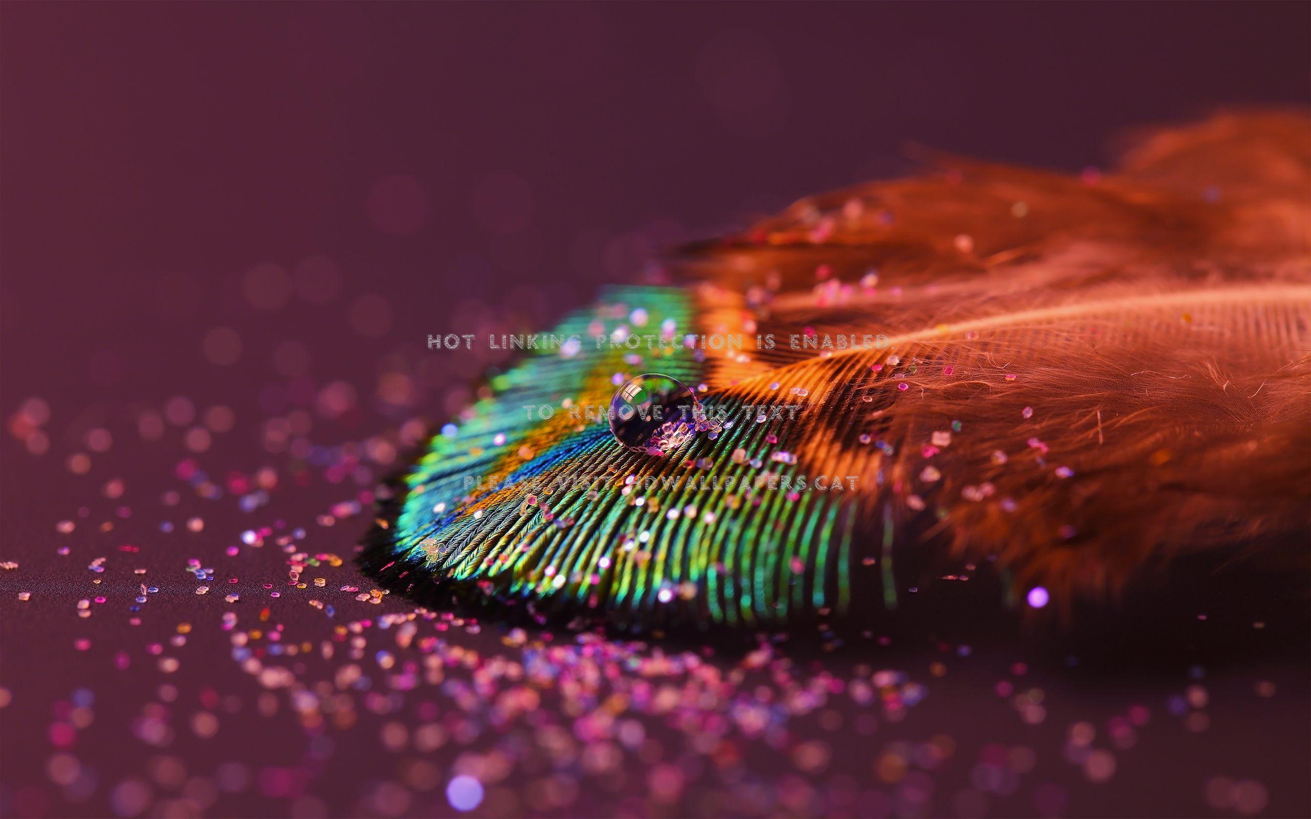 2560x1600 rainbow feather green sprinkles red glitter
