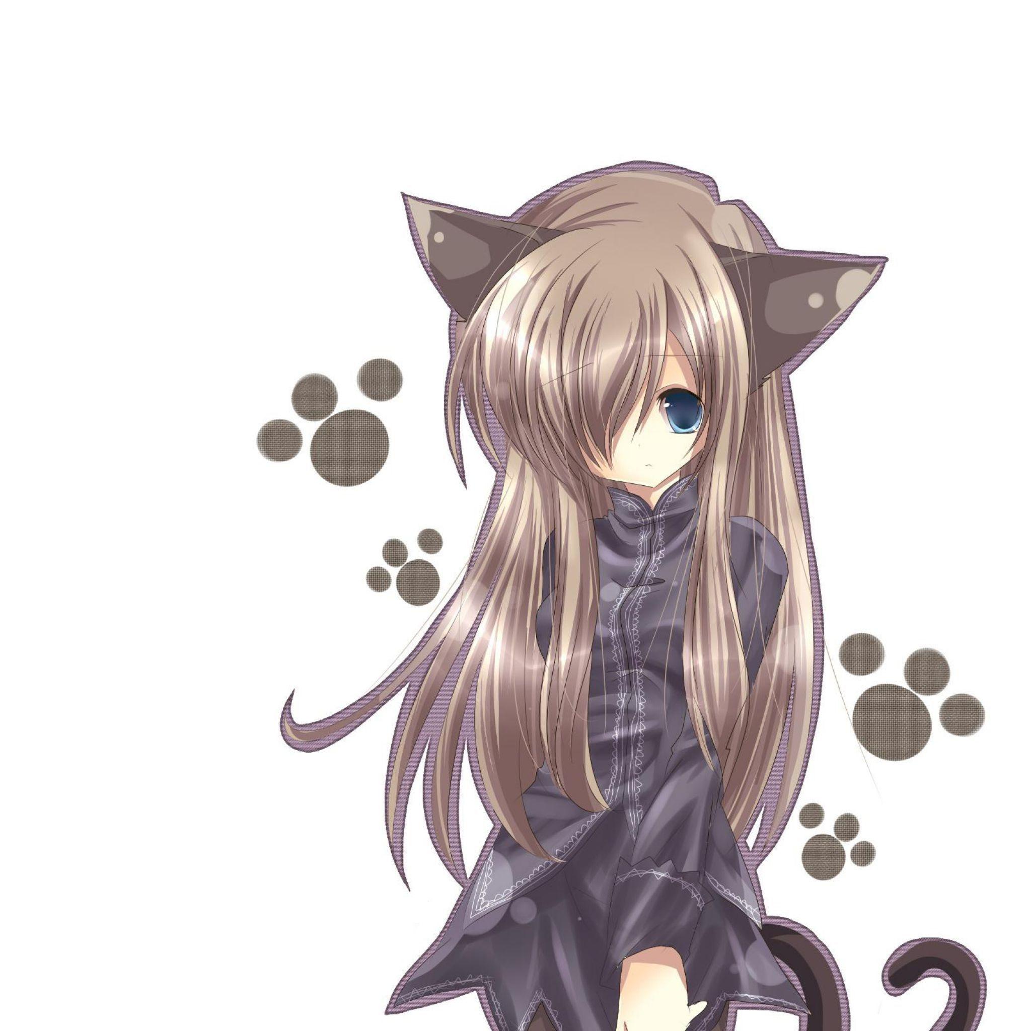 2048x2048 Anime Kitty Cat Girl Wallpaper