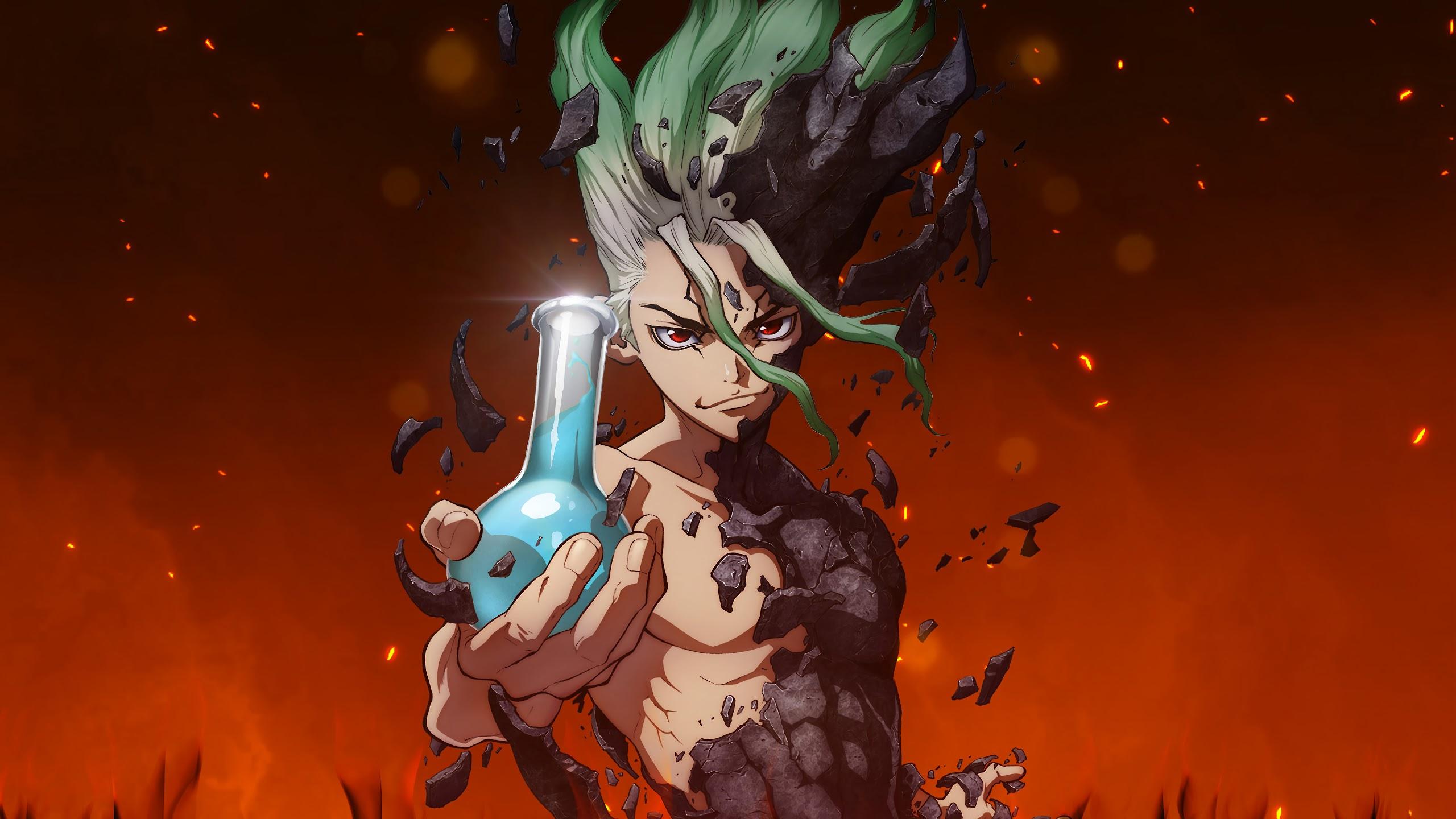 2560x1440 Stone, Senku Ishigami, 4k, Stone Wallpaper iPad