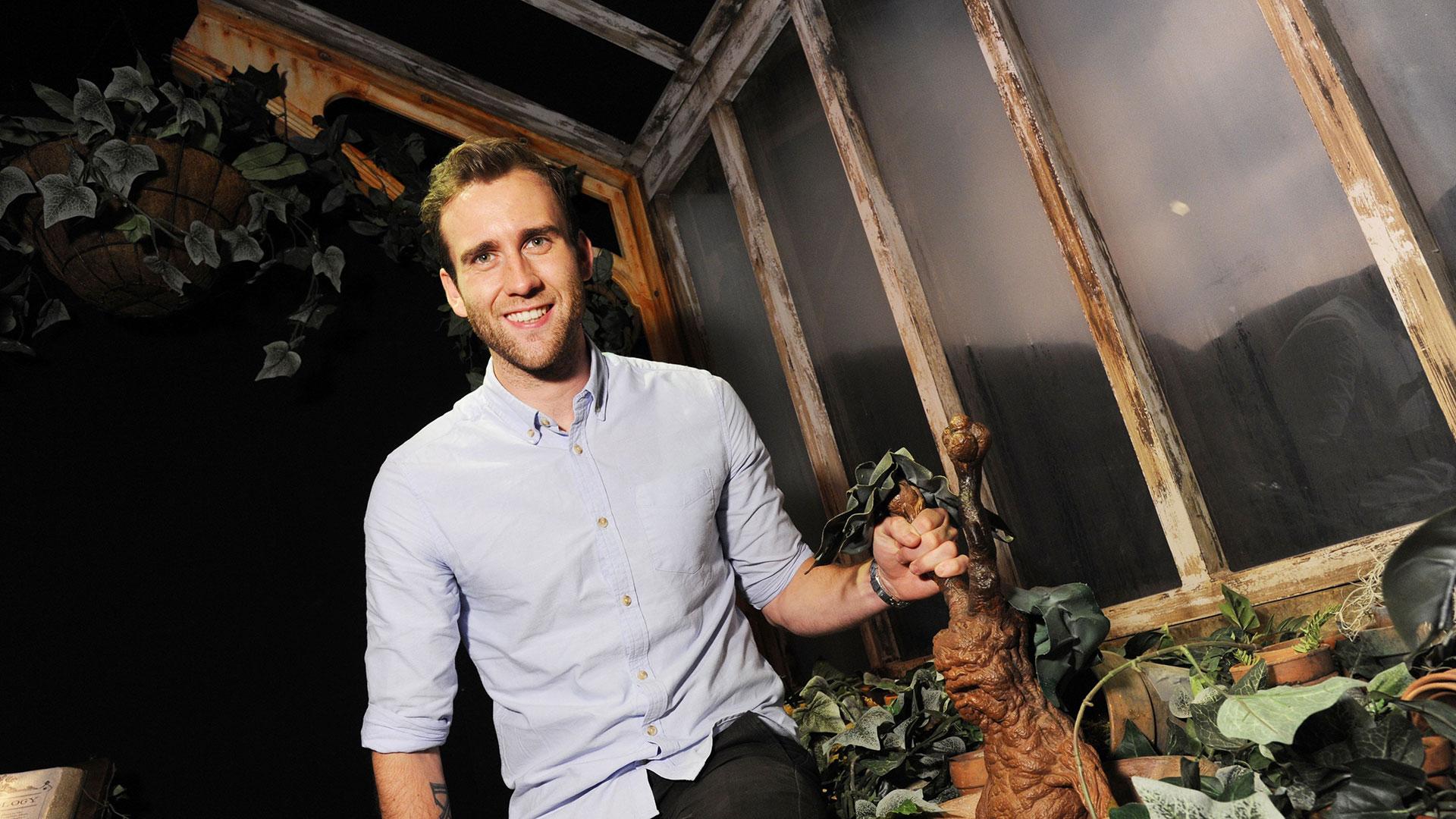 Matthew Lewis Wallpapers - Top Free Matthew Lewis Backgrounds