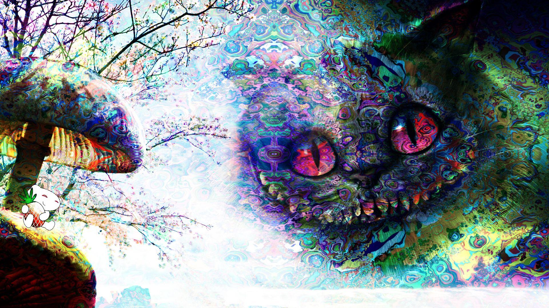 1920x1080 Trippy Cat Wallpaper