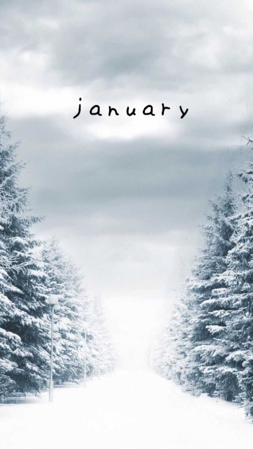 828x1471 January Wallpaper