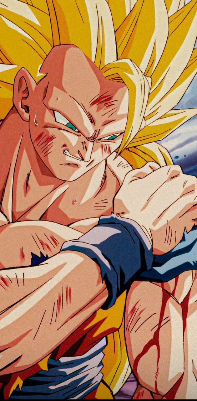 630x1280 Goku SSJ 3 wallpaper