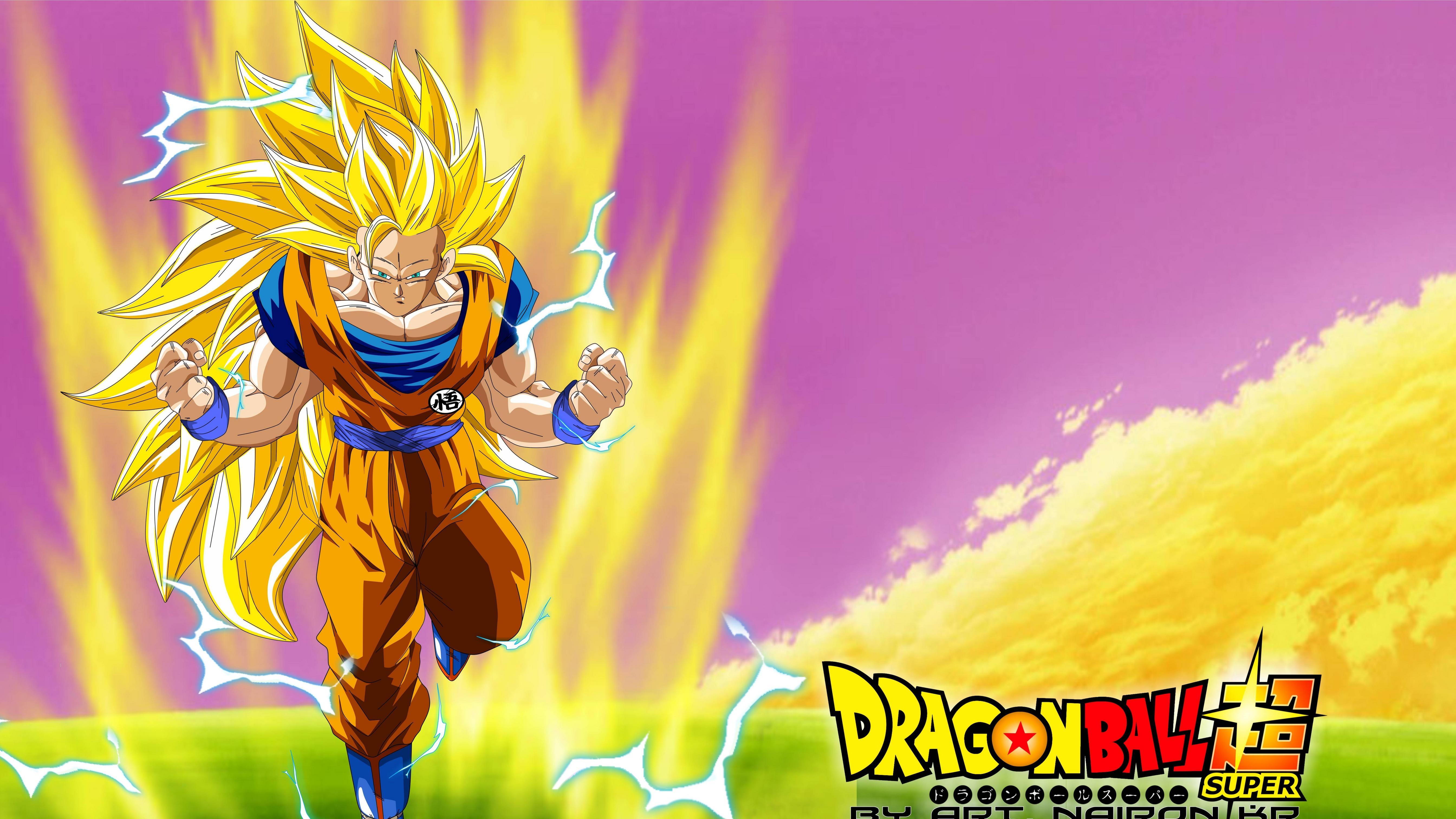 Goku Ssj 3 Wallpapers Top Free Goku Ssj 3 Backgrounds Wallpaperaccess