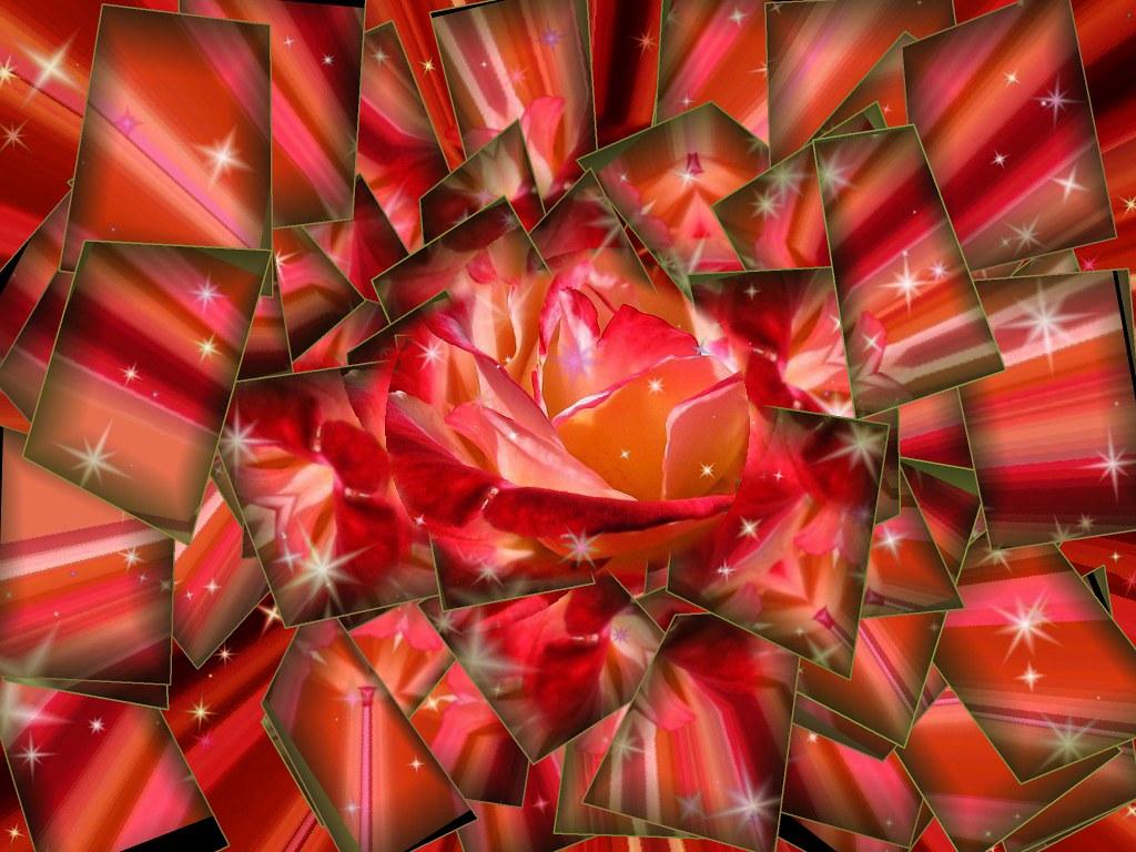 1024x768 Georges Braque Styling of Candie's Rose in a Sparkling Kal