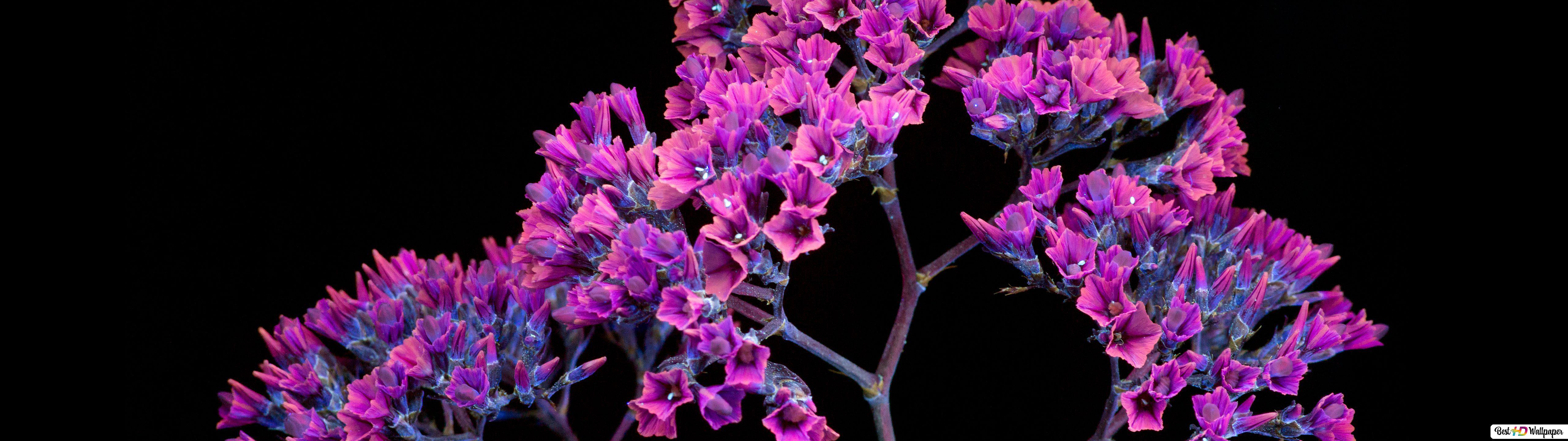 5120x1440 Purple Wallpapers - Top Free 5120x1440 Purple Backgrounds ...