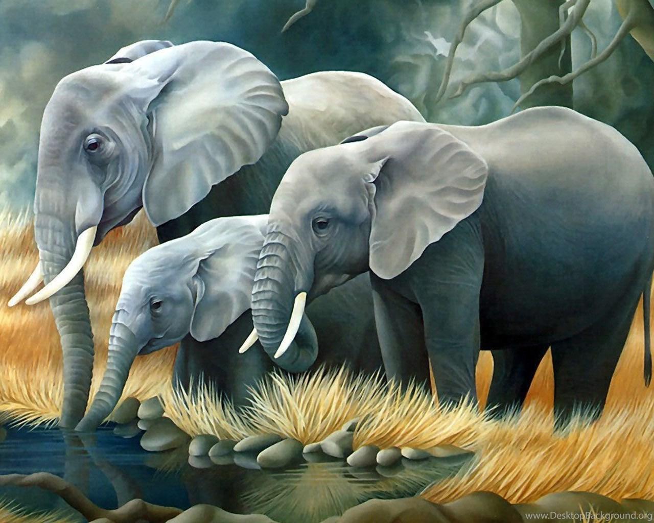 1280x1024 Safari Animals 5 Background Wallpaper Hivewallpaper.com Desktop Background