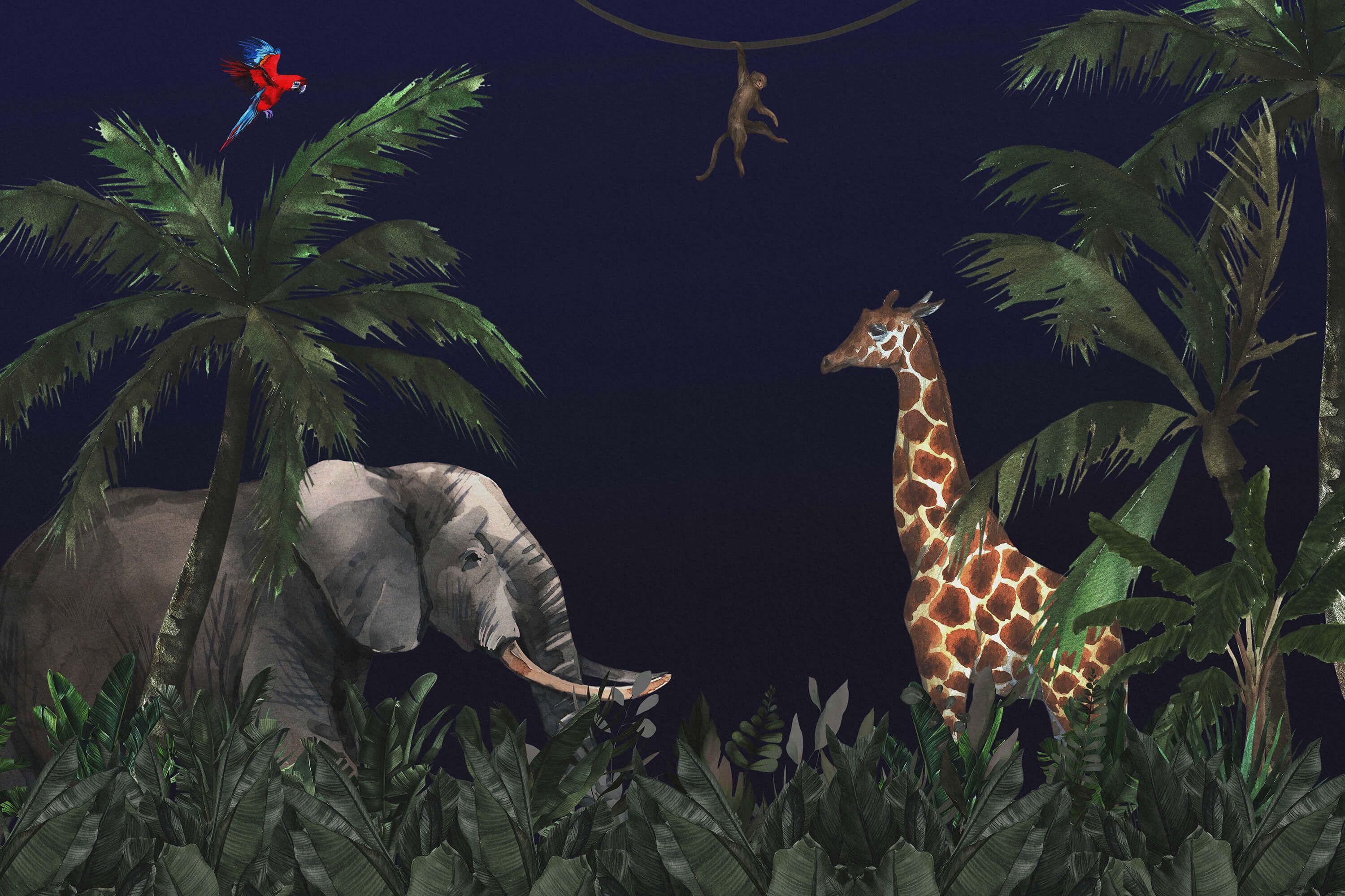 3000x2000 Jungle animals at night