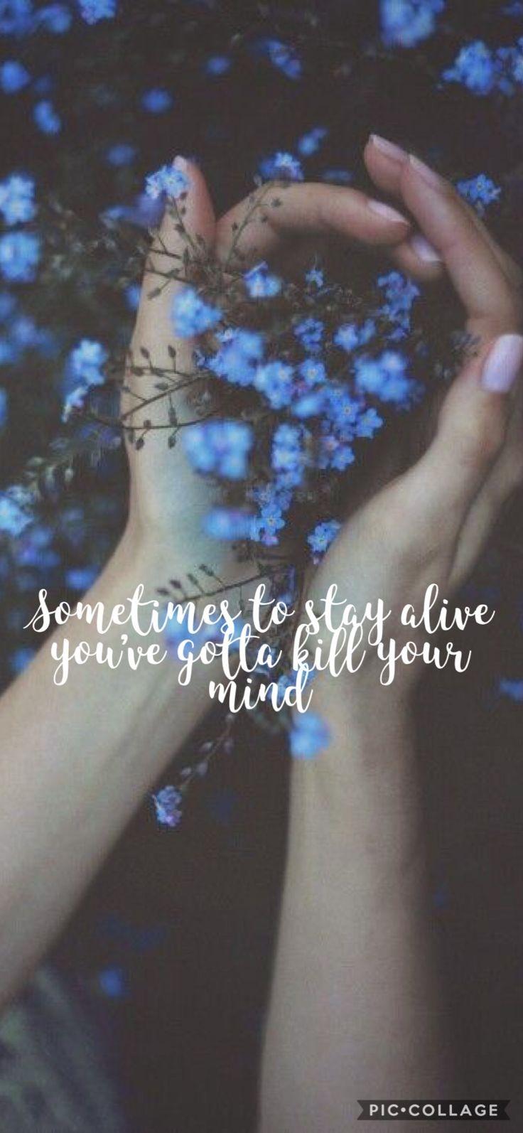 736x1594 Migraine Wallpaper—by I_got_cheez_whiz. Cheez whiz, Cheez it, Wallpaper