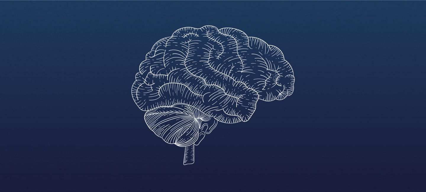 1440x650 The case for migraine as a disease of the brain