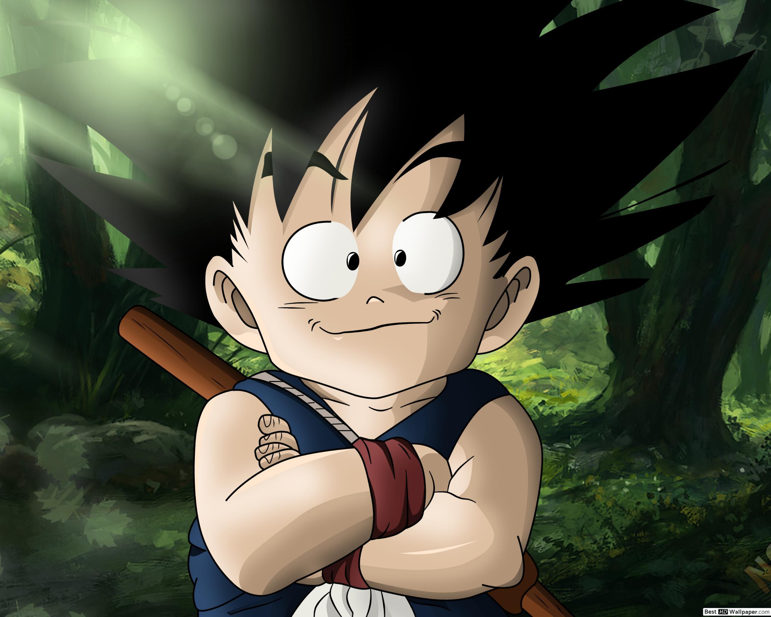 2560x2048 iPad Goku Wallpaper 4k HD Wallpaper
