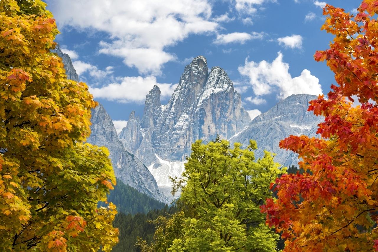 1280x854 Colourful trees in autumn framing dramatic mountain in the background; Sesto, Bolzano, Italy Poster Print by Michael Interisano / Design Pics # VARDPI12516346