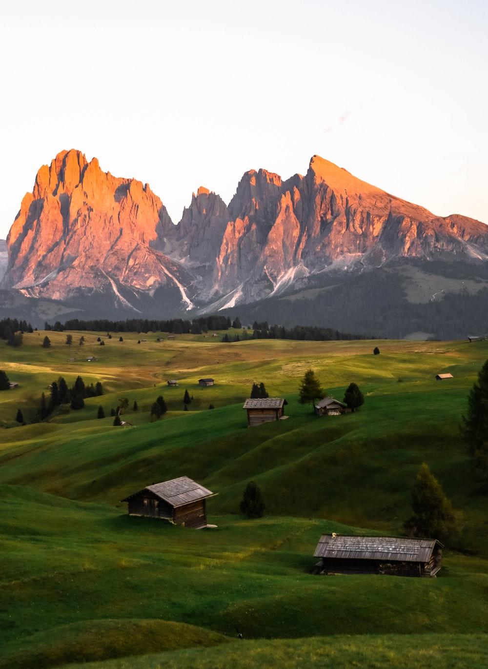 1000x1371 Bolzano Picture. Download Free Image