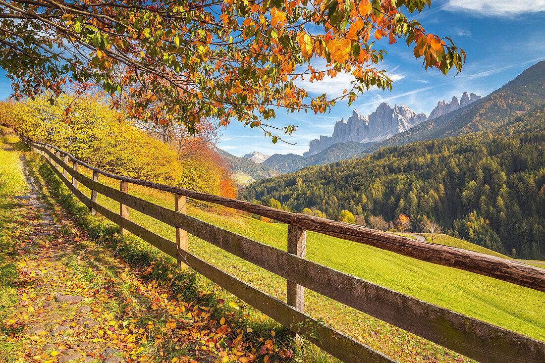 1100x733 Odle Mountain view from Funes Valley