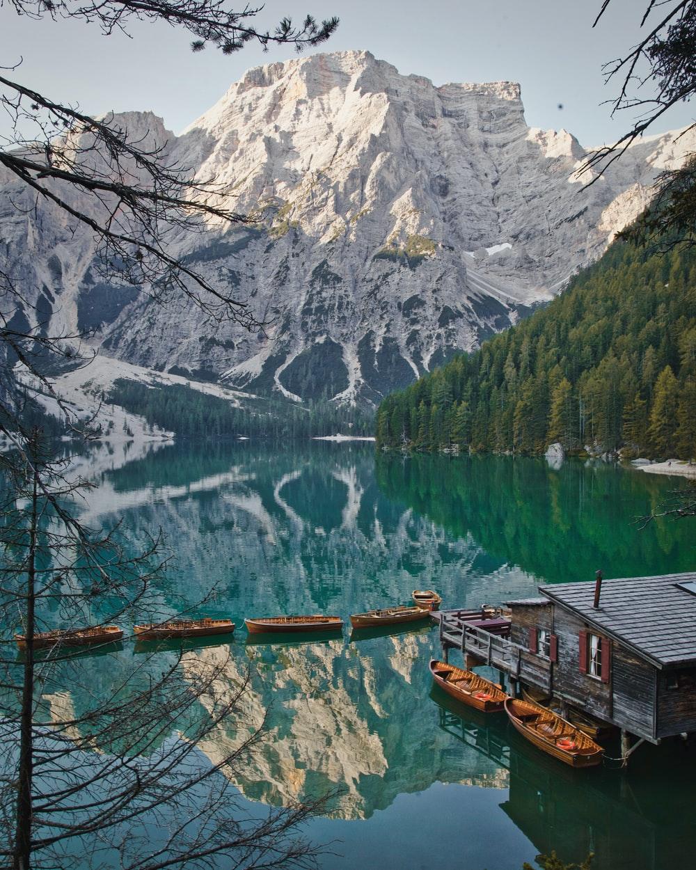 1000x1250 Bolzano Picture. Download Free Image