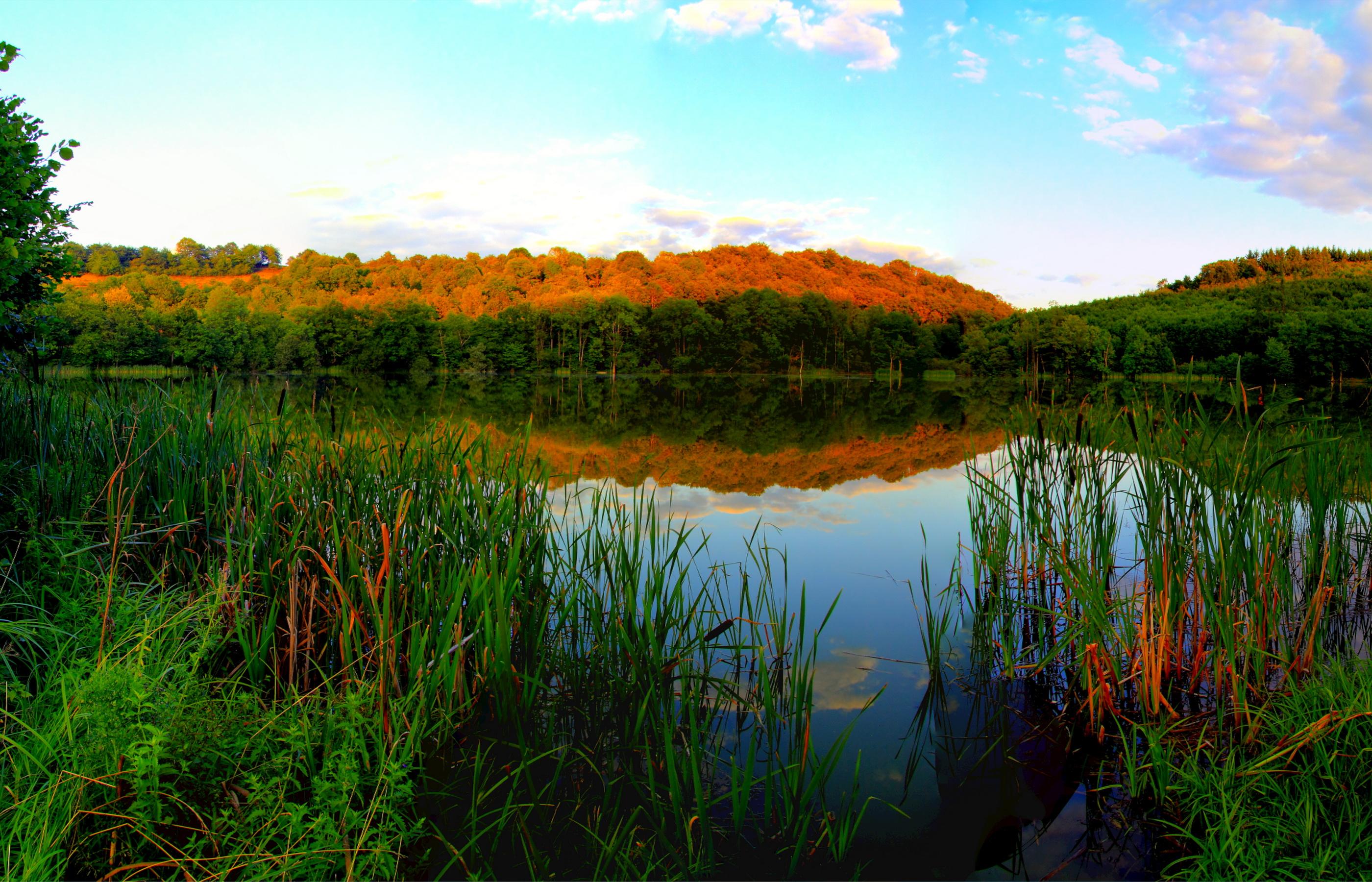 2800x1800 Wallpaper Nature river 2800x1800