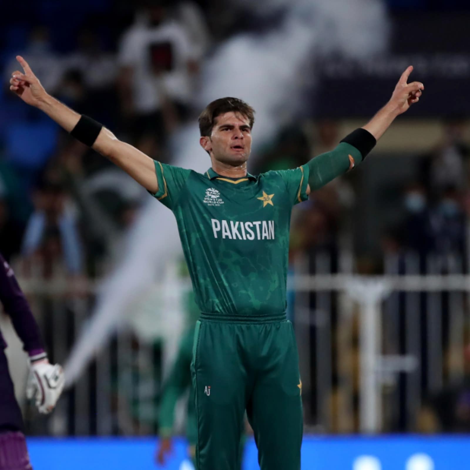 Shaheen Afridi Wallpapers - Top Free Shaheen Afridi Backgrounds ...