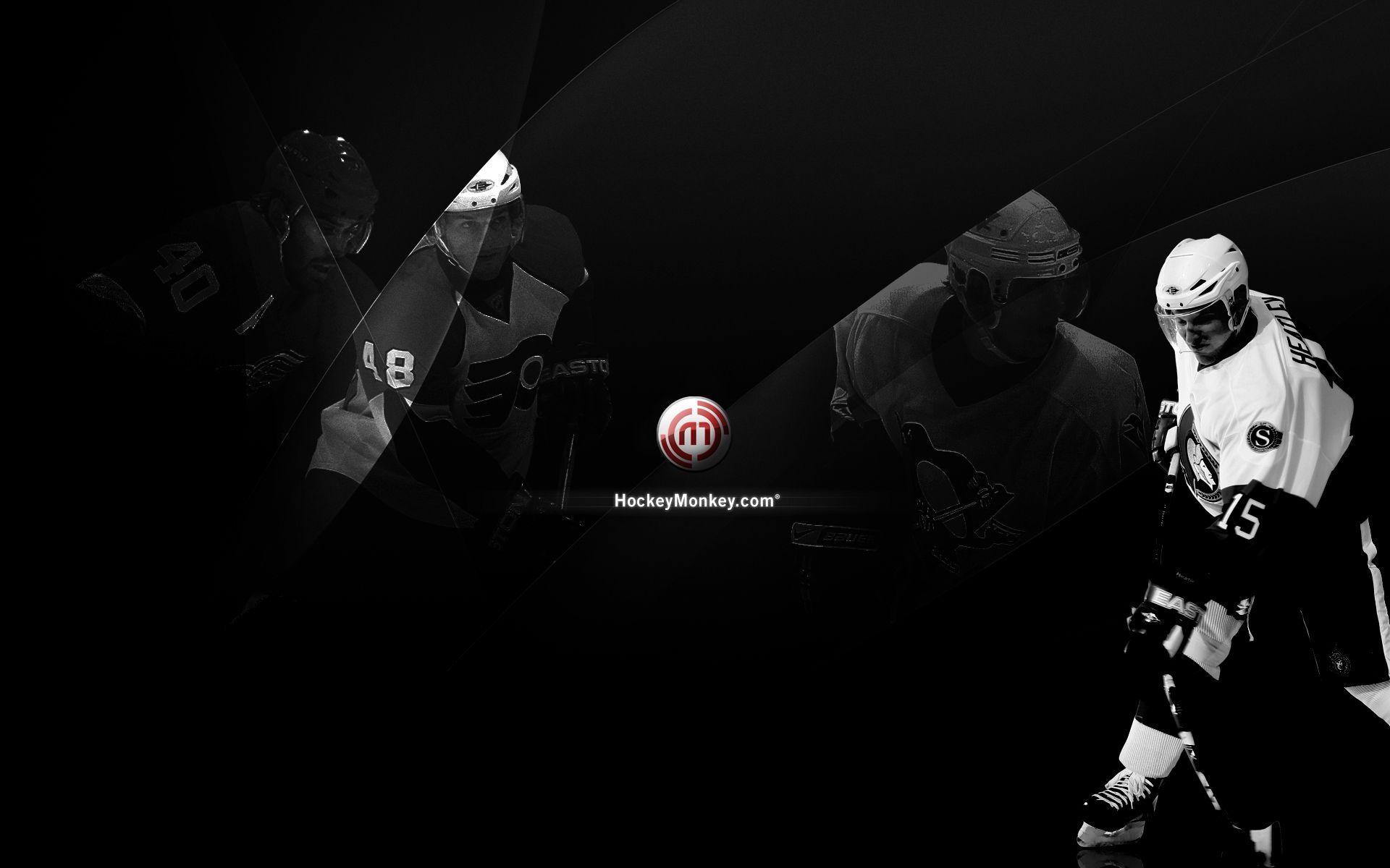 1920x1200 Hockeymonkey Wallpaper